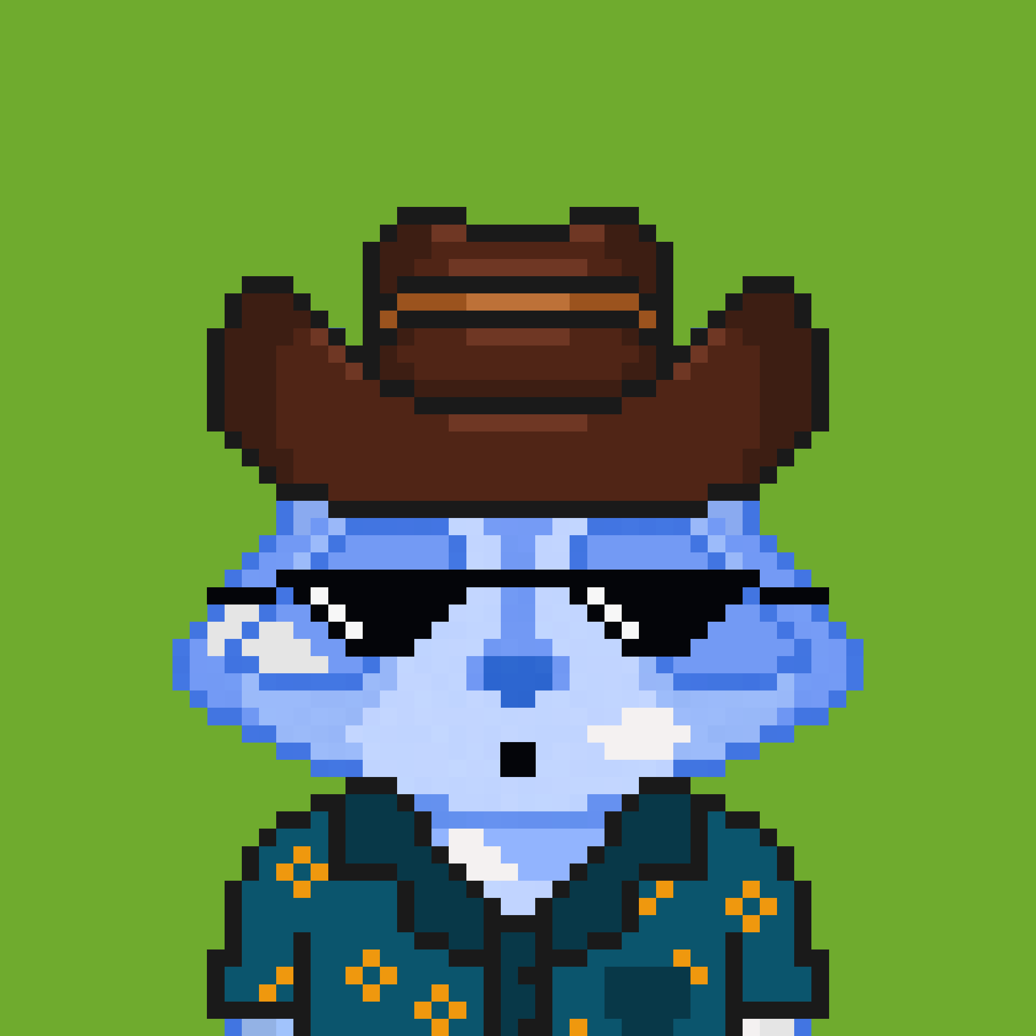 Pixel Raccoon #135 NFT on Algorand