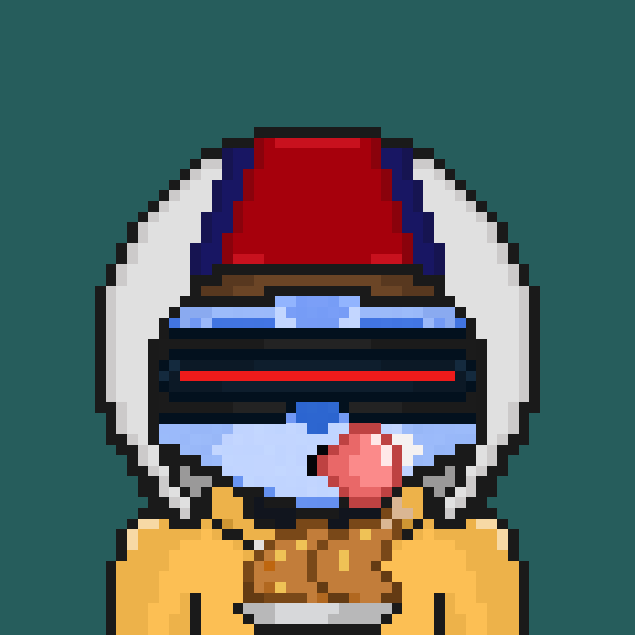 Pixel Raccoon #1425 NFT on Algorand