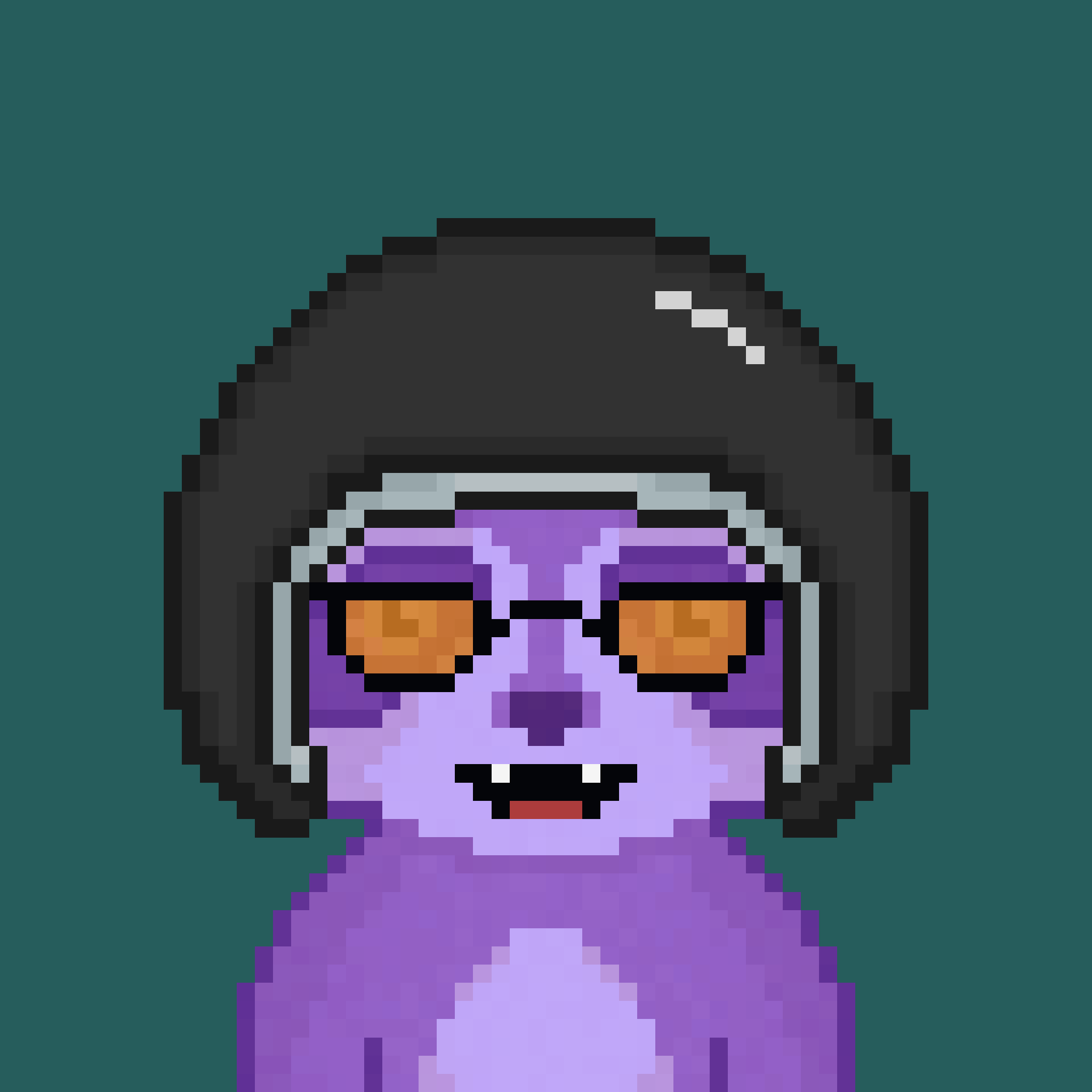 Pixel Raccoon #145 NFT on Algorand