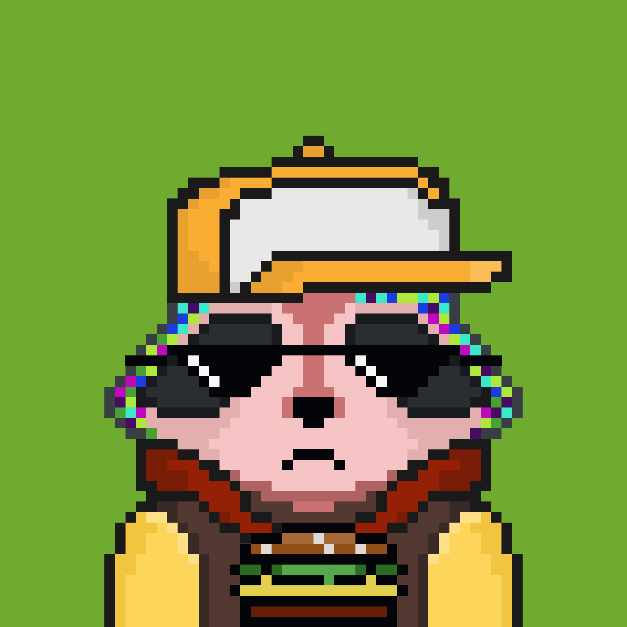 Pixel Raccoon #153 NFT on Algorand