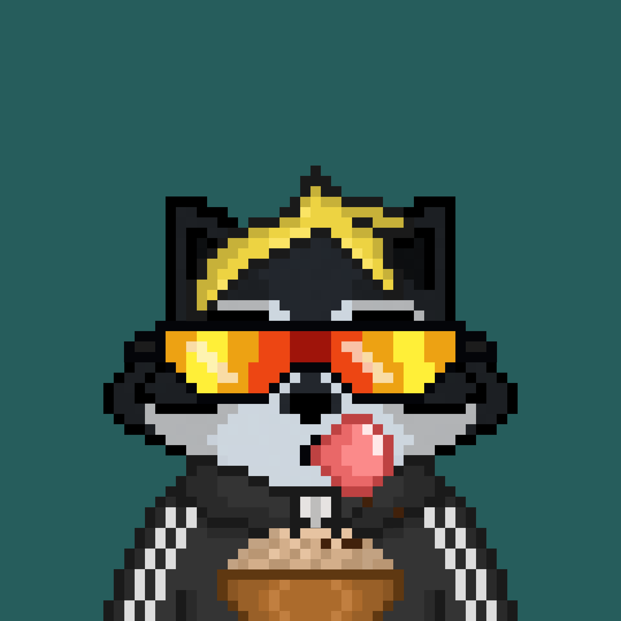 Pixel Raccoon #154 NFT on Algorand