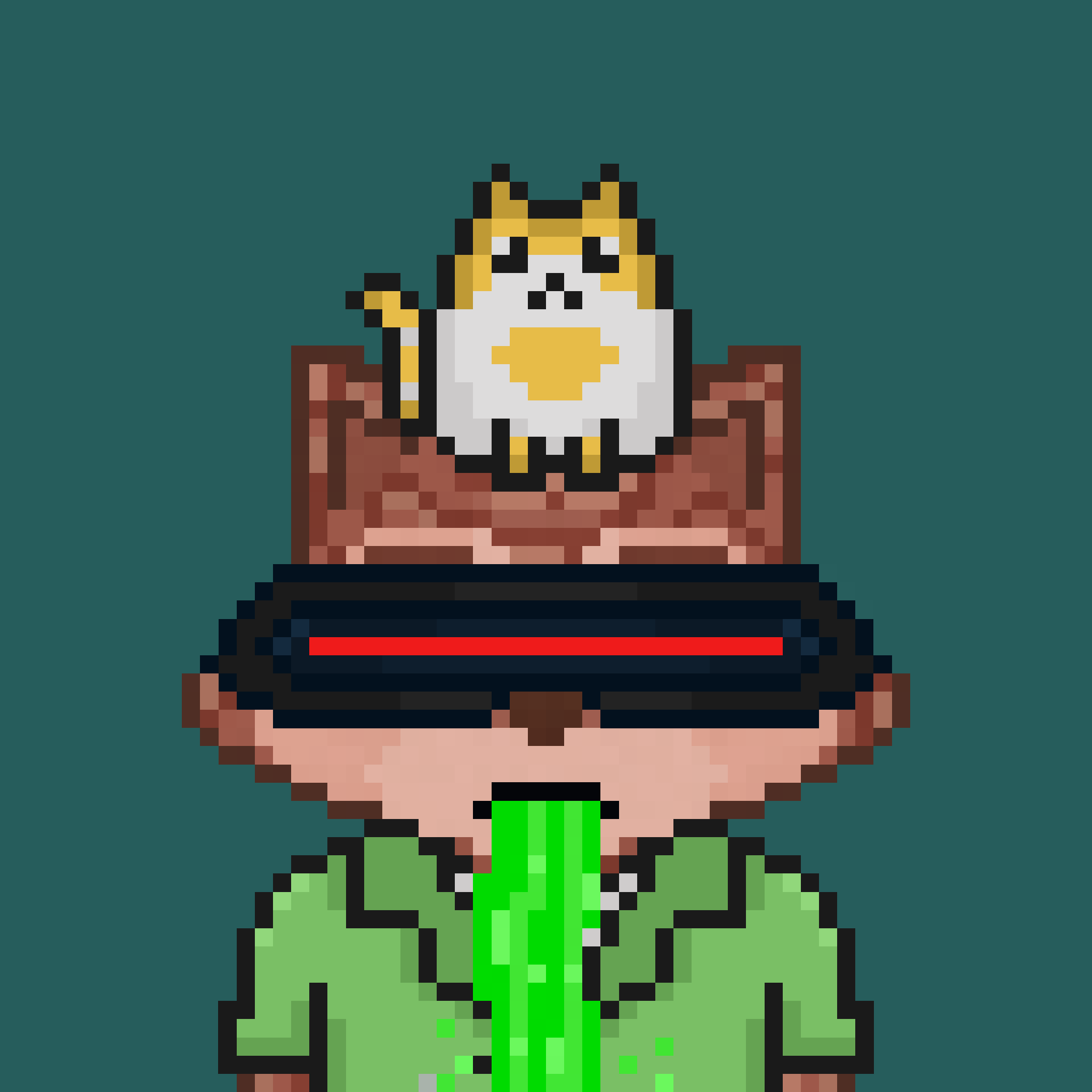 Pixel Raccoon #155 NFT on Algorand