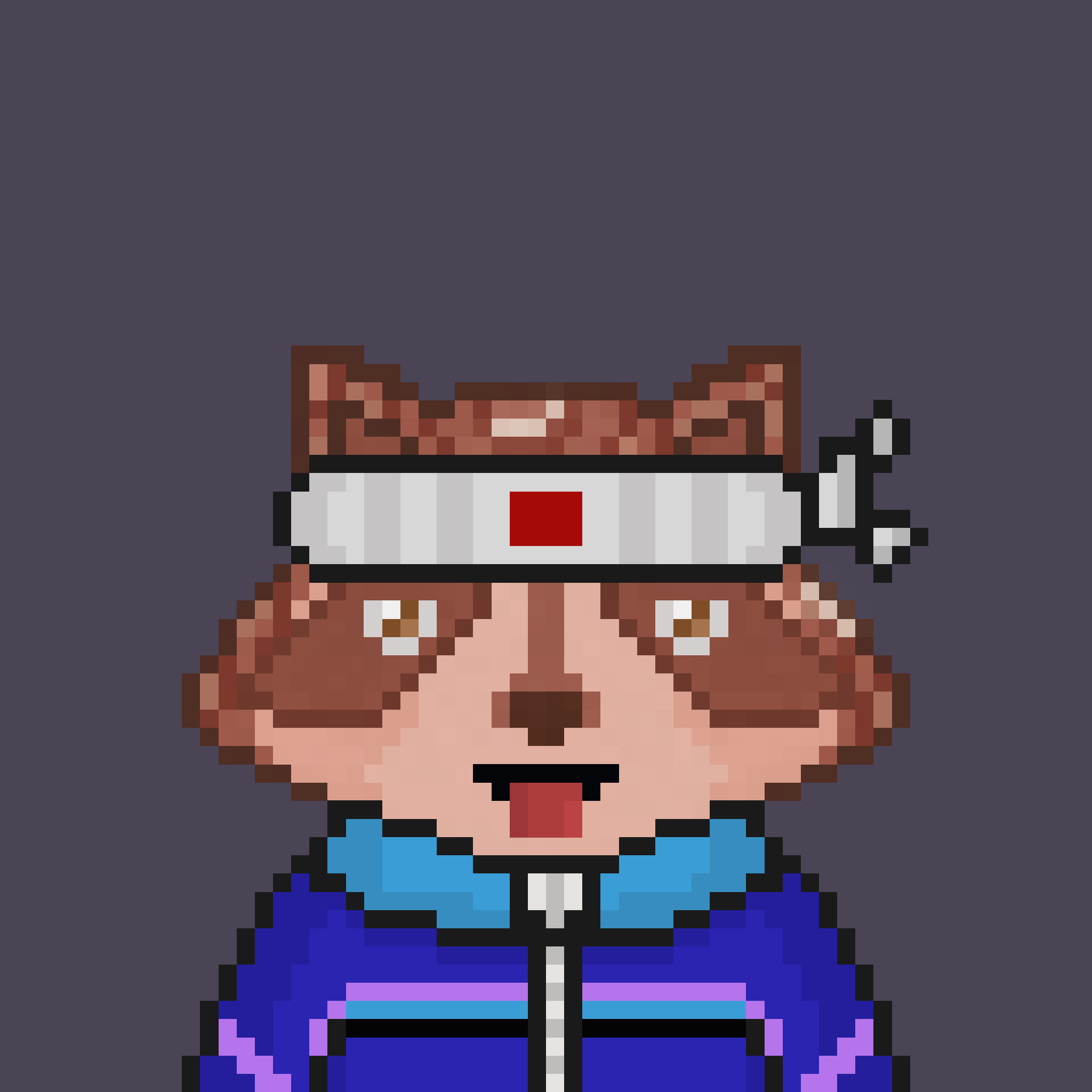 Pixel Raccoon #16 NFT on Algorand