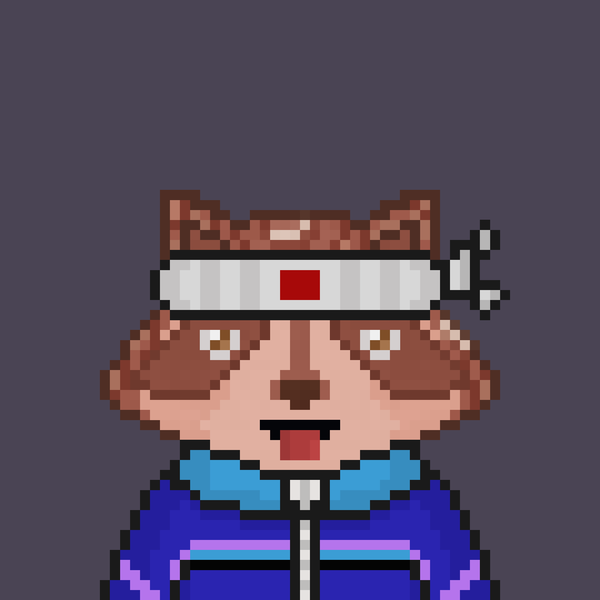 An image of Pixel Raccoon #16