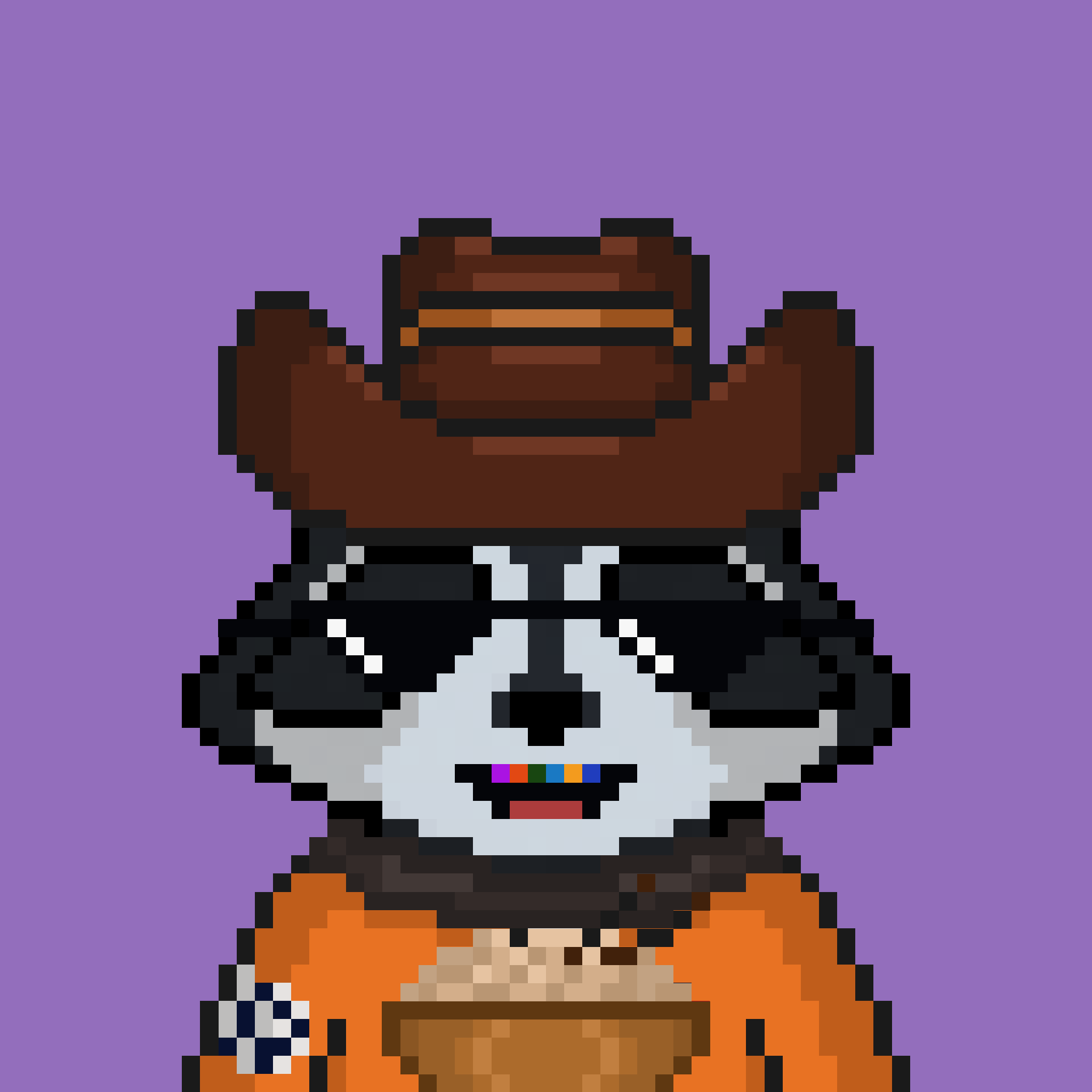 Pixel Raccoon #1609 NFT on Algorand