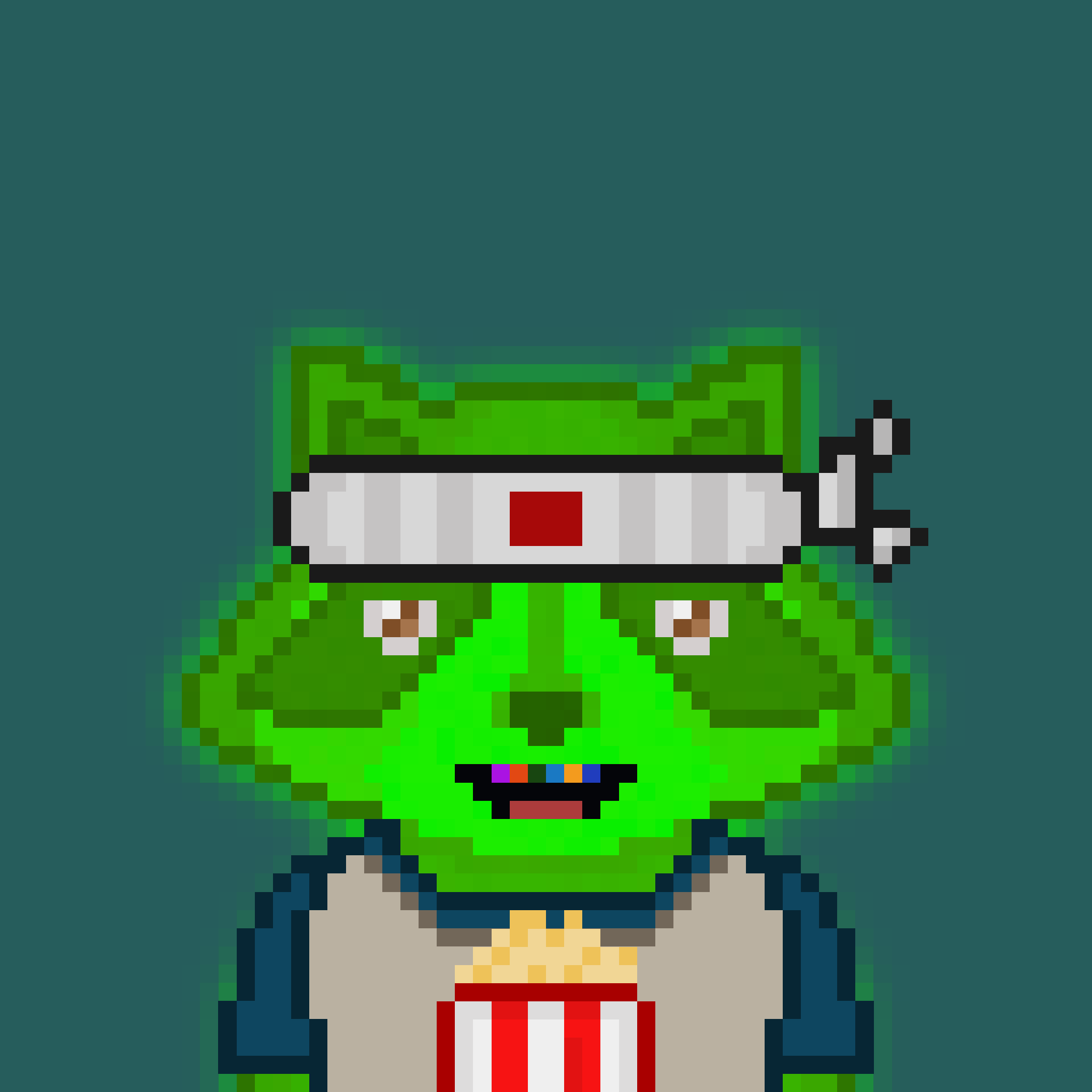 Pixel Raccoon #1613 NFT on Algorand