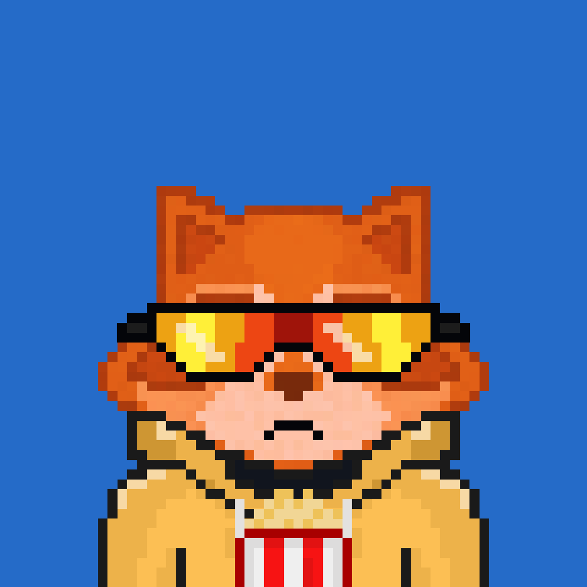 Pixel Raccoon #1616 NFT on Algorand