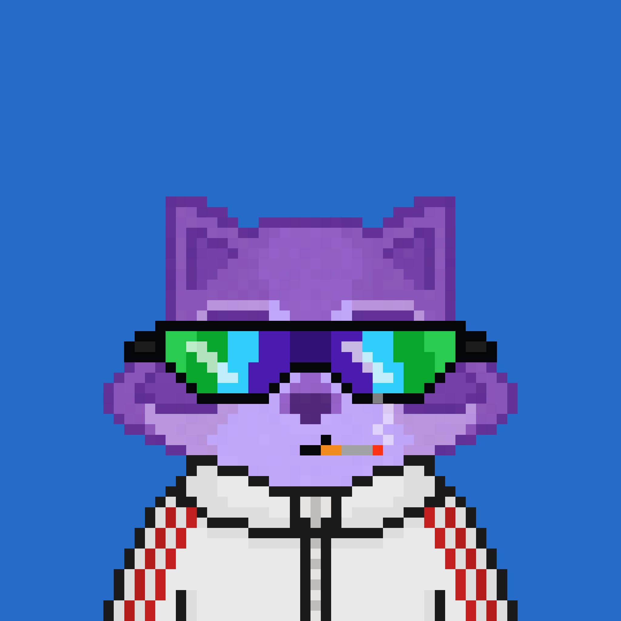 Pixel Raccoon #1629 NFT on Algorand