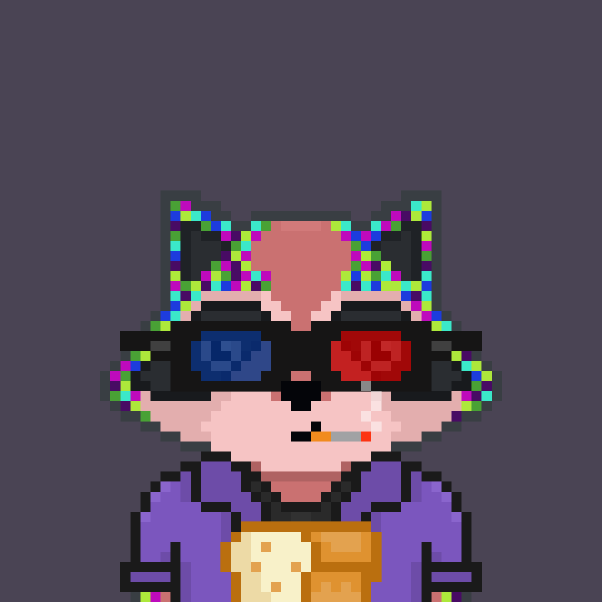 Pixel Raccoon #1632 NFT on Algorand