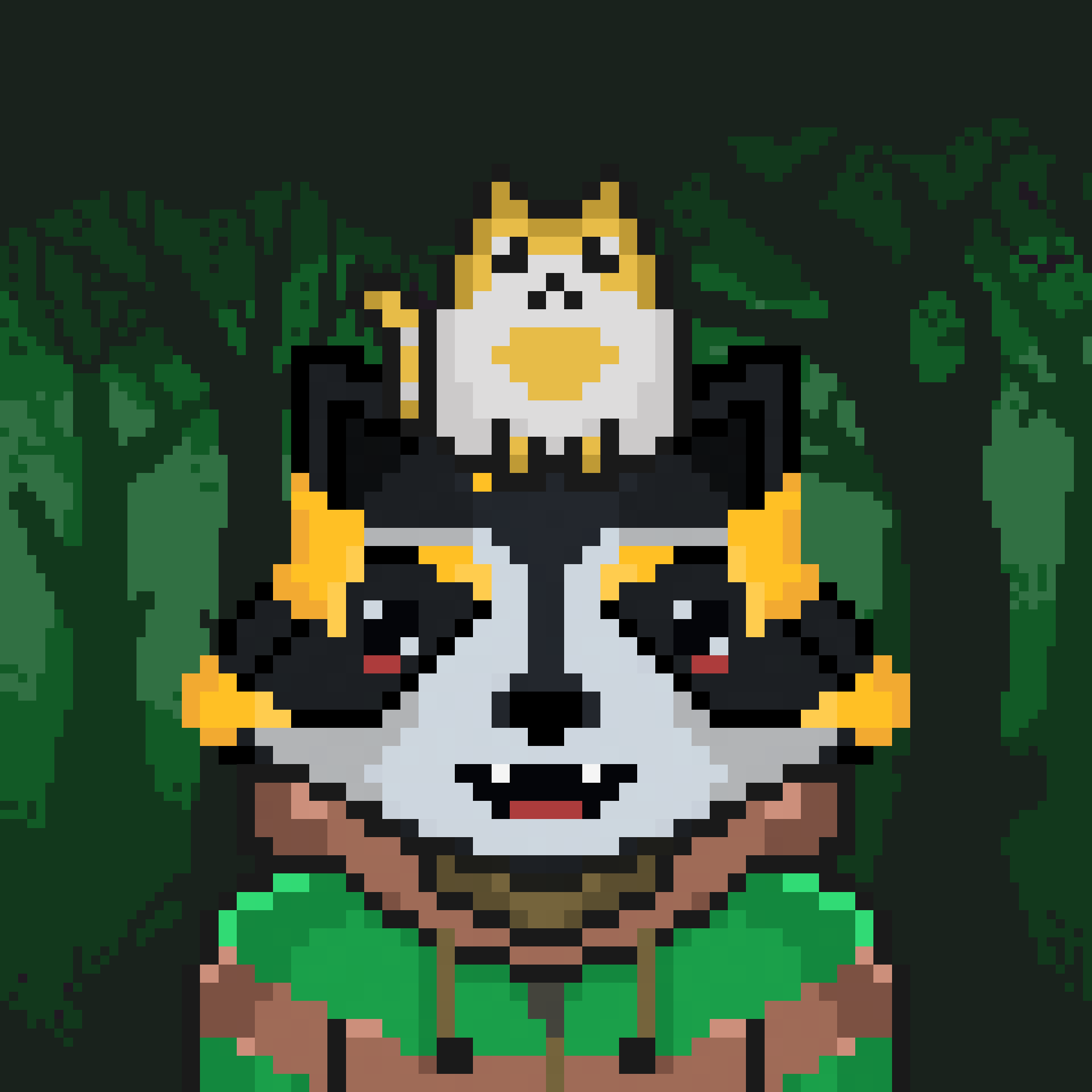 Pixel Raccoon #1647 NFT on Algorand