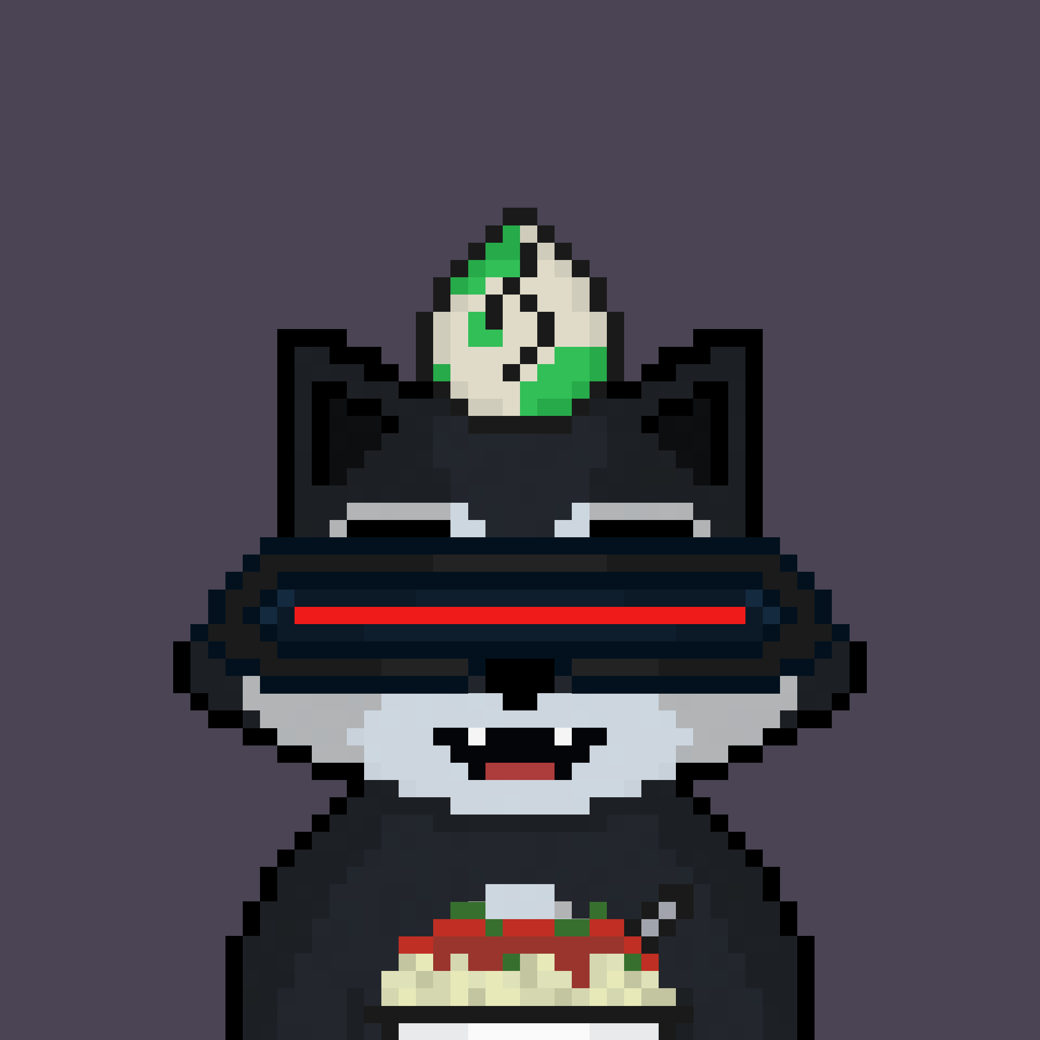 Pixel Raccoon #1662 NFT on Algorand