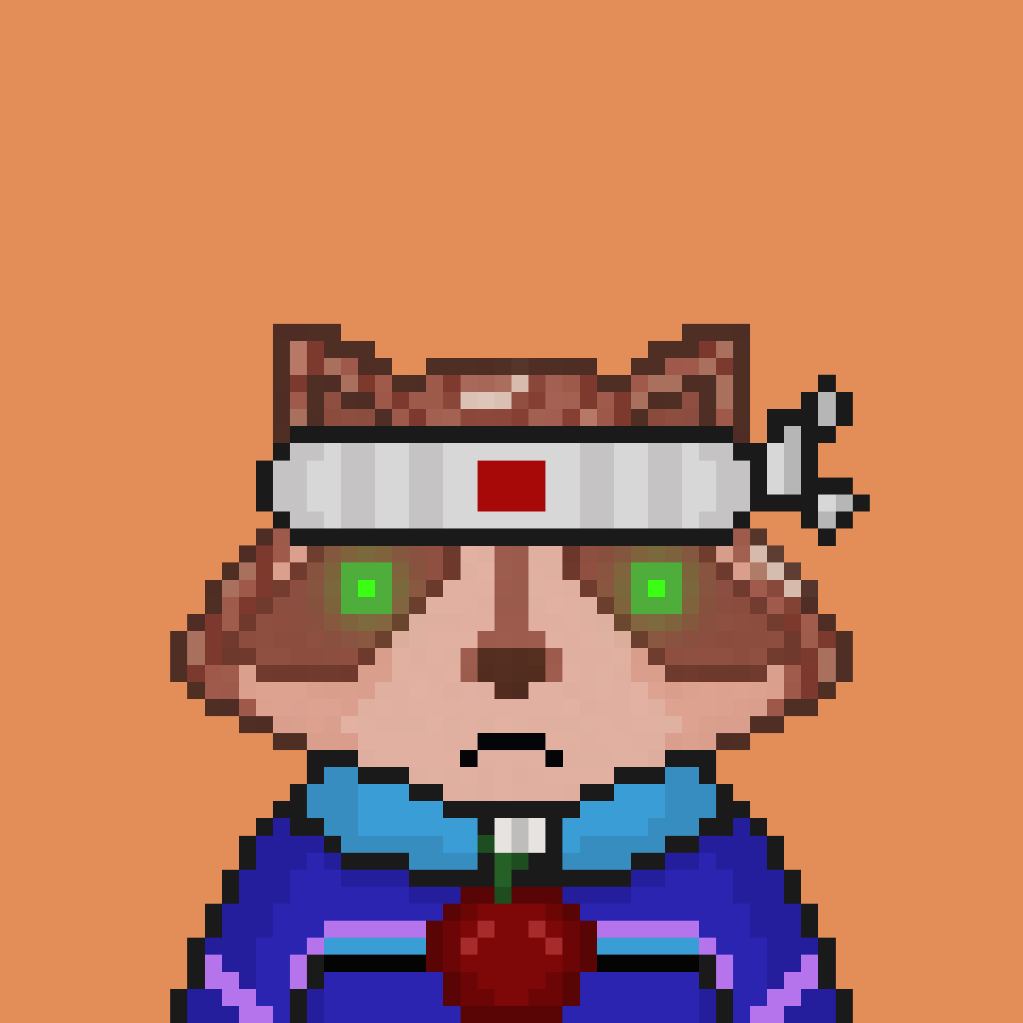 Pixel Raccoon #1673 NFT on Algorand