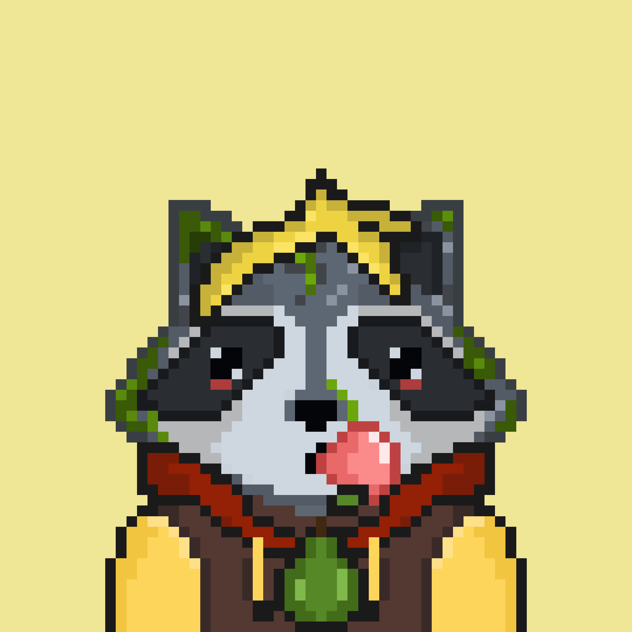 Pixel Raccoon #1685 NFT on Algorand