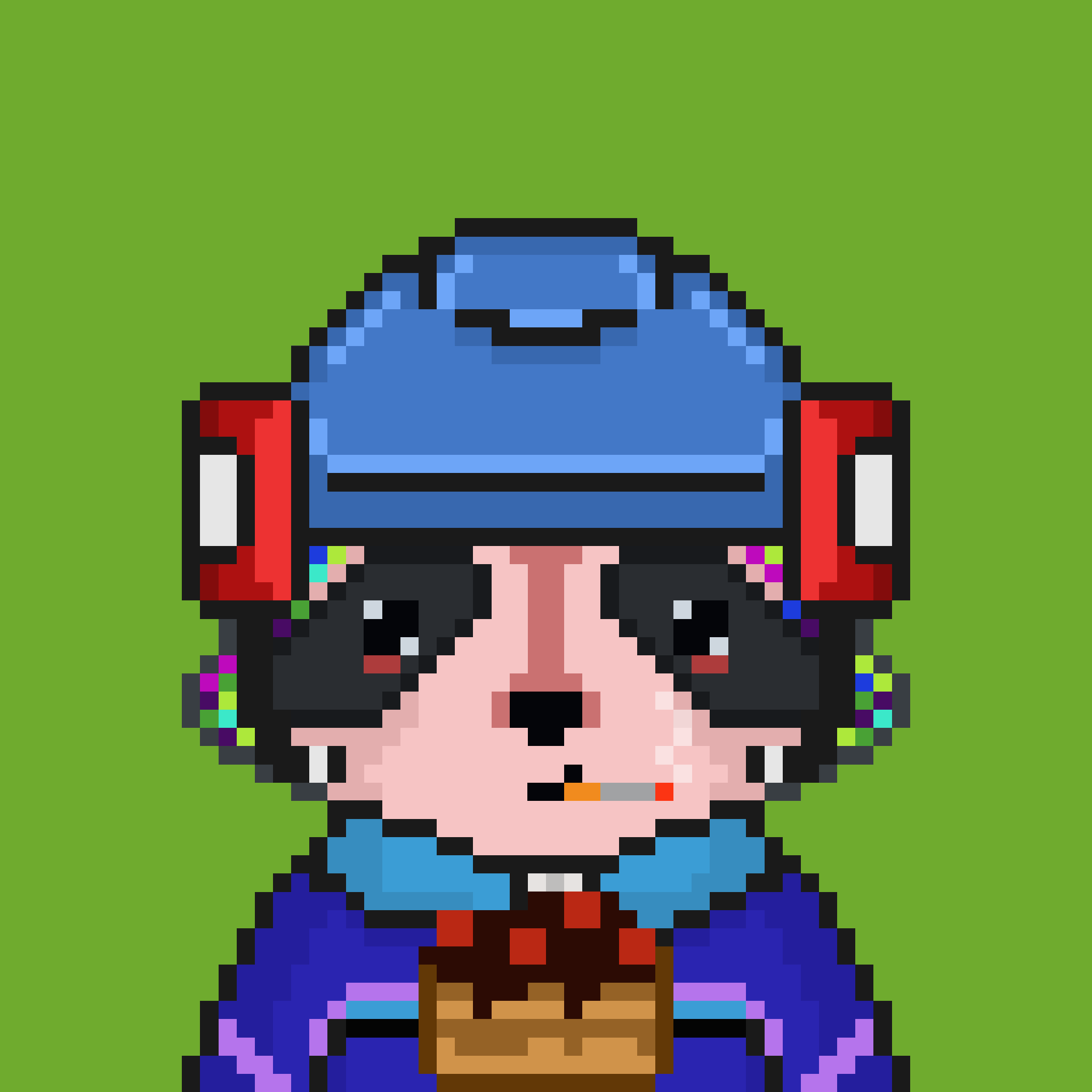Pixel Raccoon #1703 NFT on Algorand