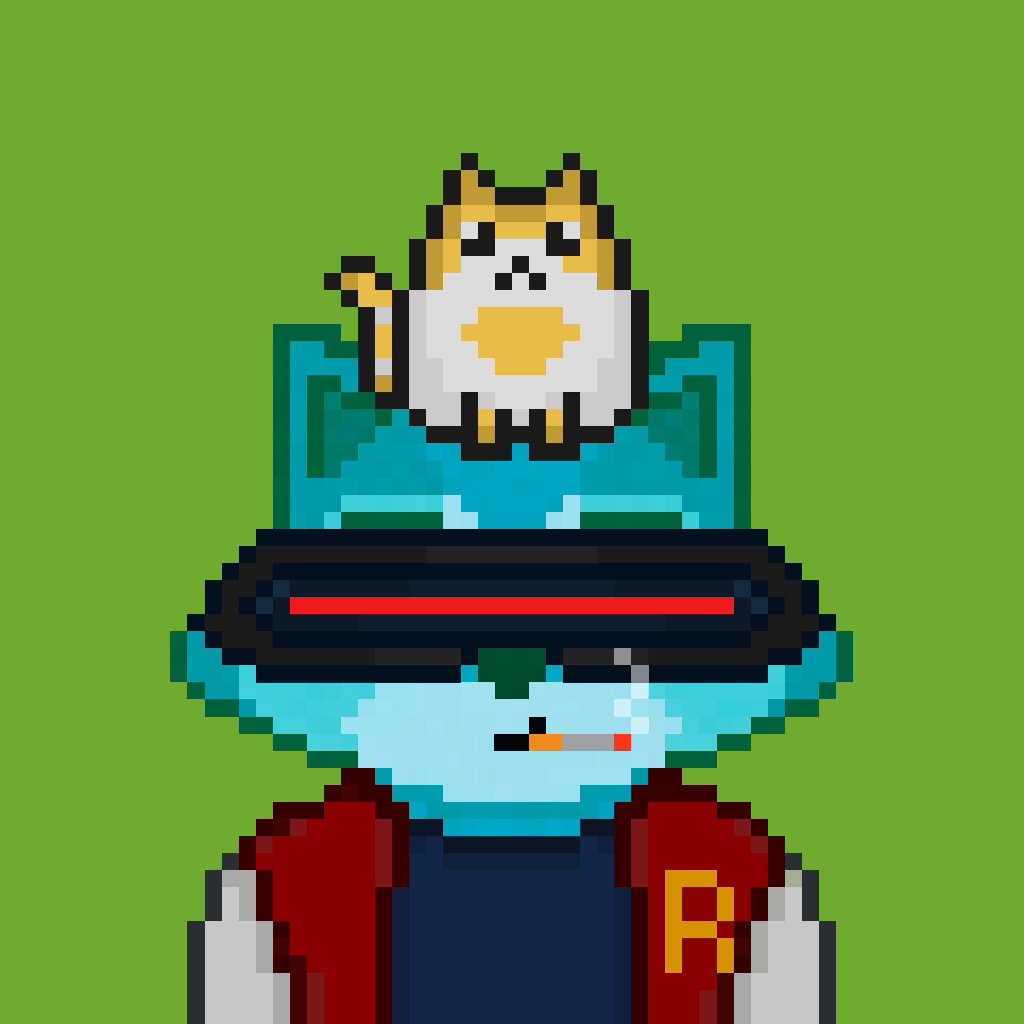Pixel Raccoon #1706 NFT on Algorand