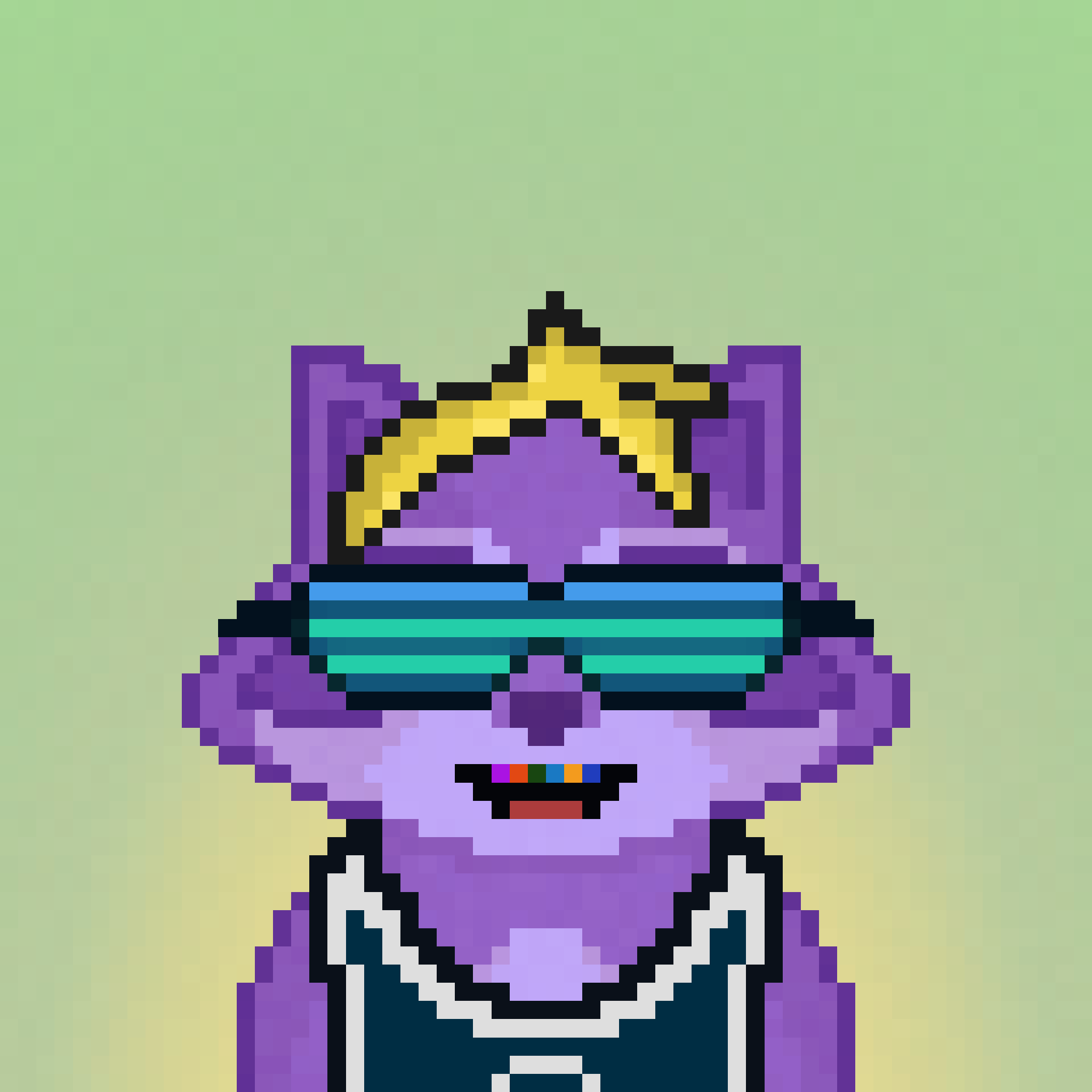 Pixel Raccoon #1710 NFT on Algorand