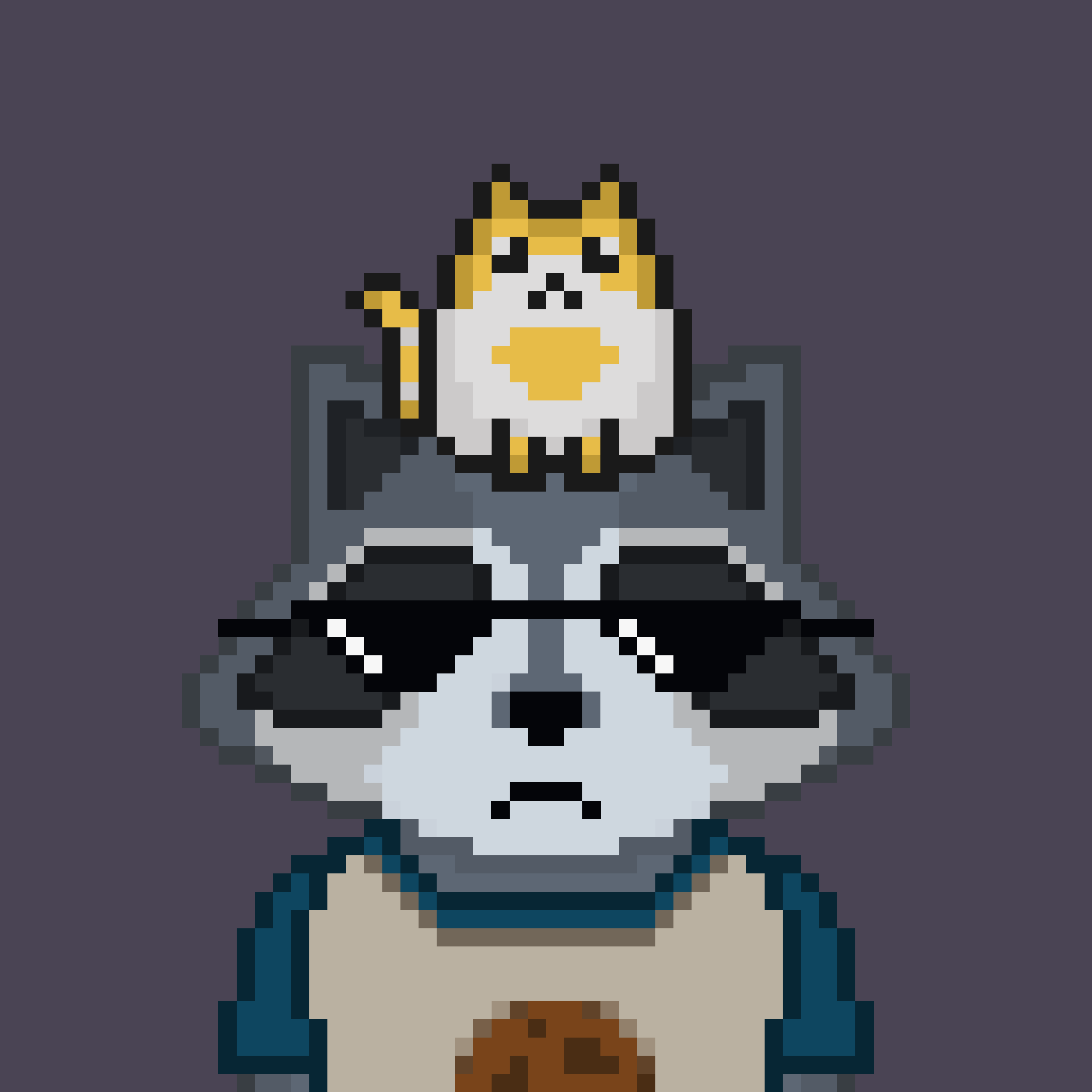 Pixel Raccoon #1712 NFT on Algorand