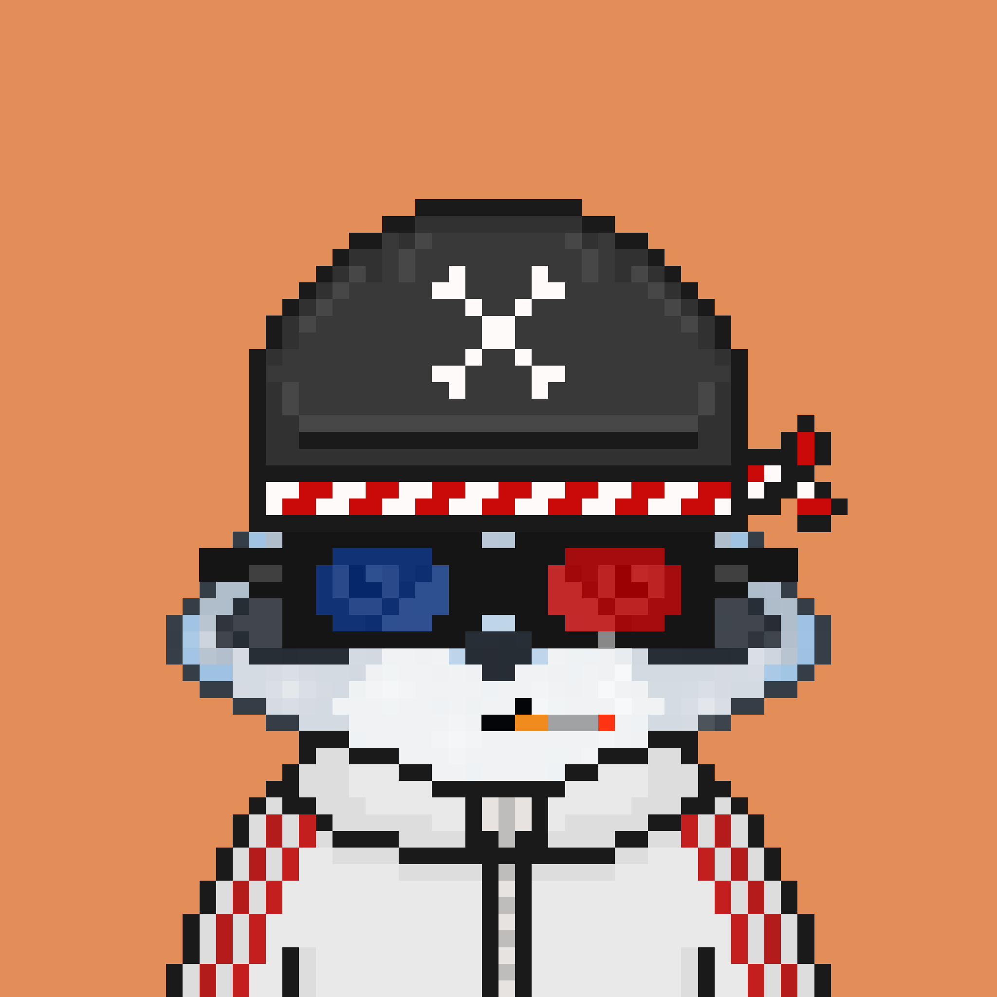 Pixel Raccoon #1715 NFT on Algorand