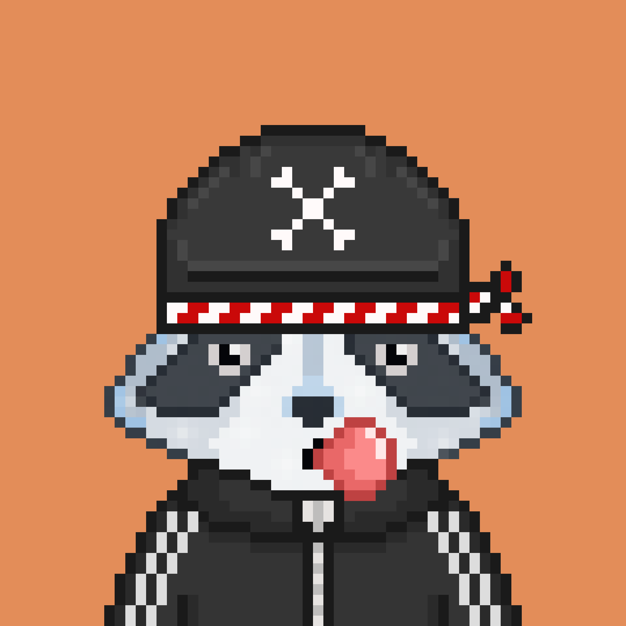 Pixel Raccoon #1741 NFT on Algorand