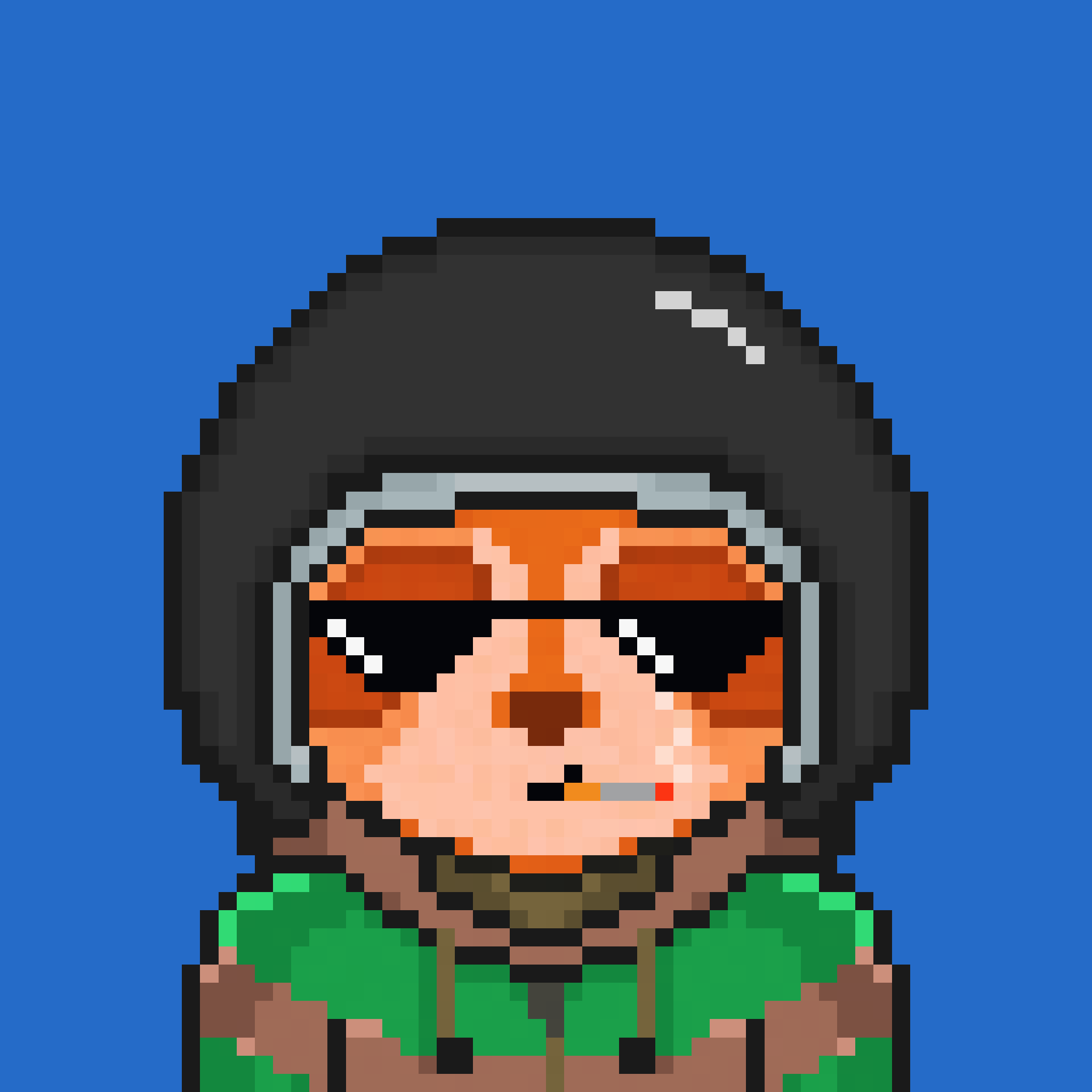 Pixel Raccoon #175 NFT on Algorand