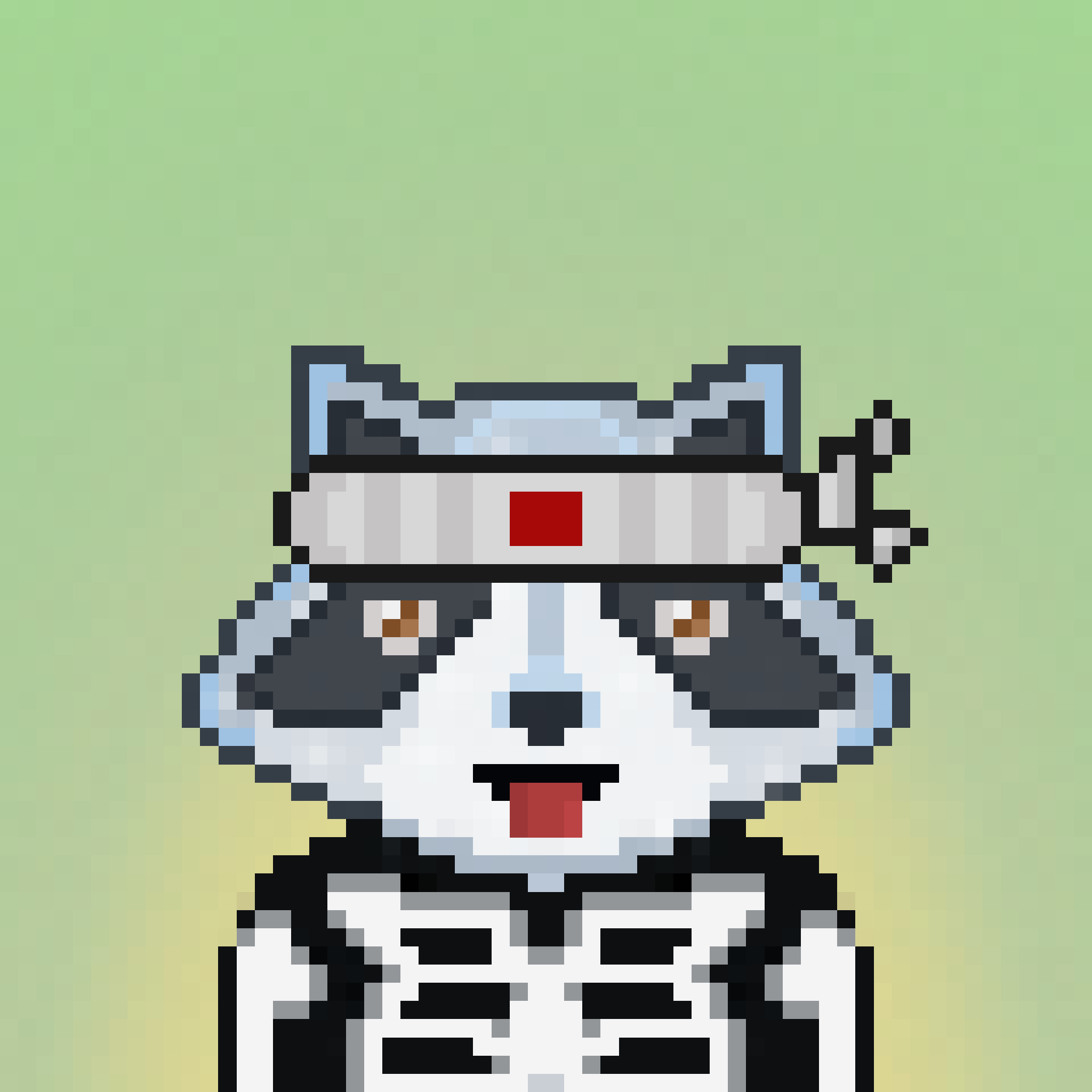 Pixel Raccoon #1773 NFT on Algorand