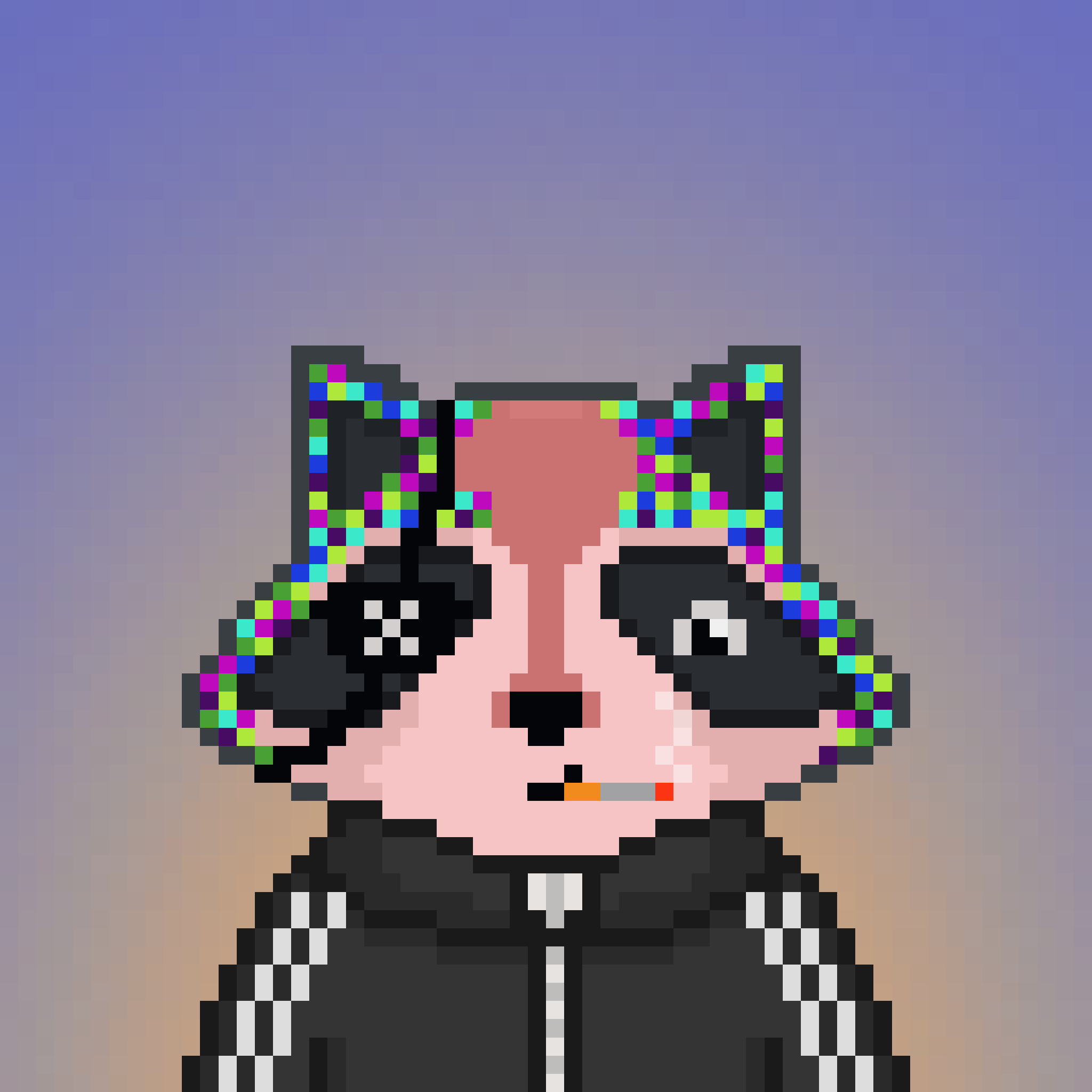 Pixel Raccoon #1785 NFT on Algorand