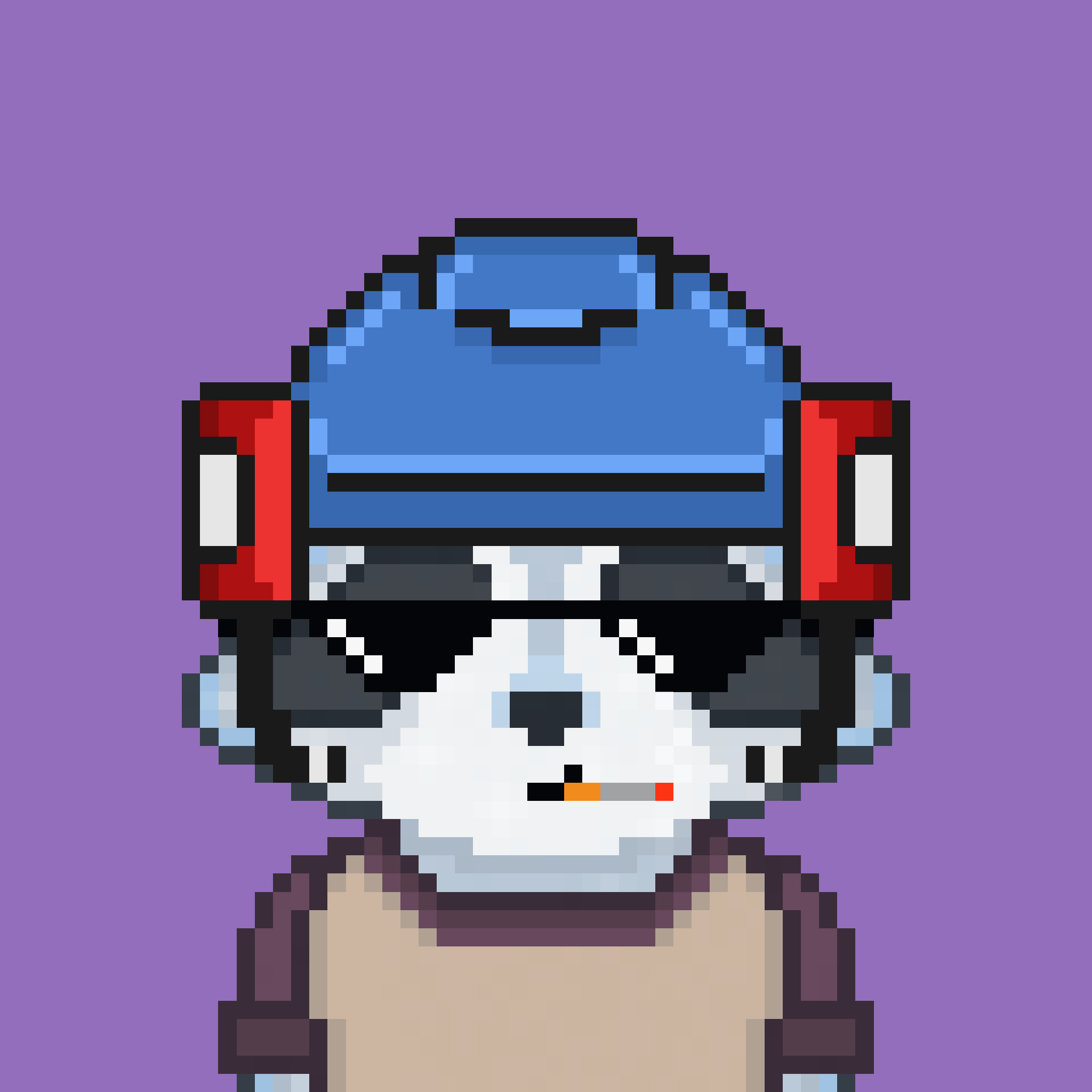 Pixel Raccoon #179 NFT on Algorand
