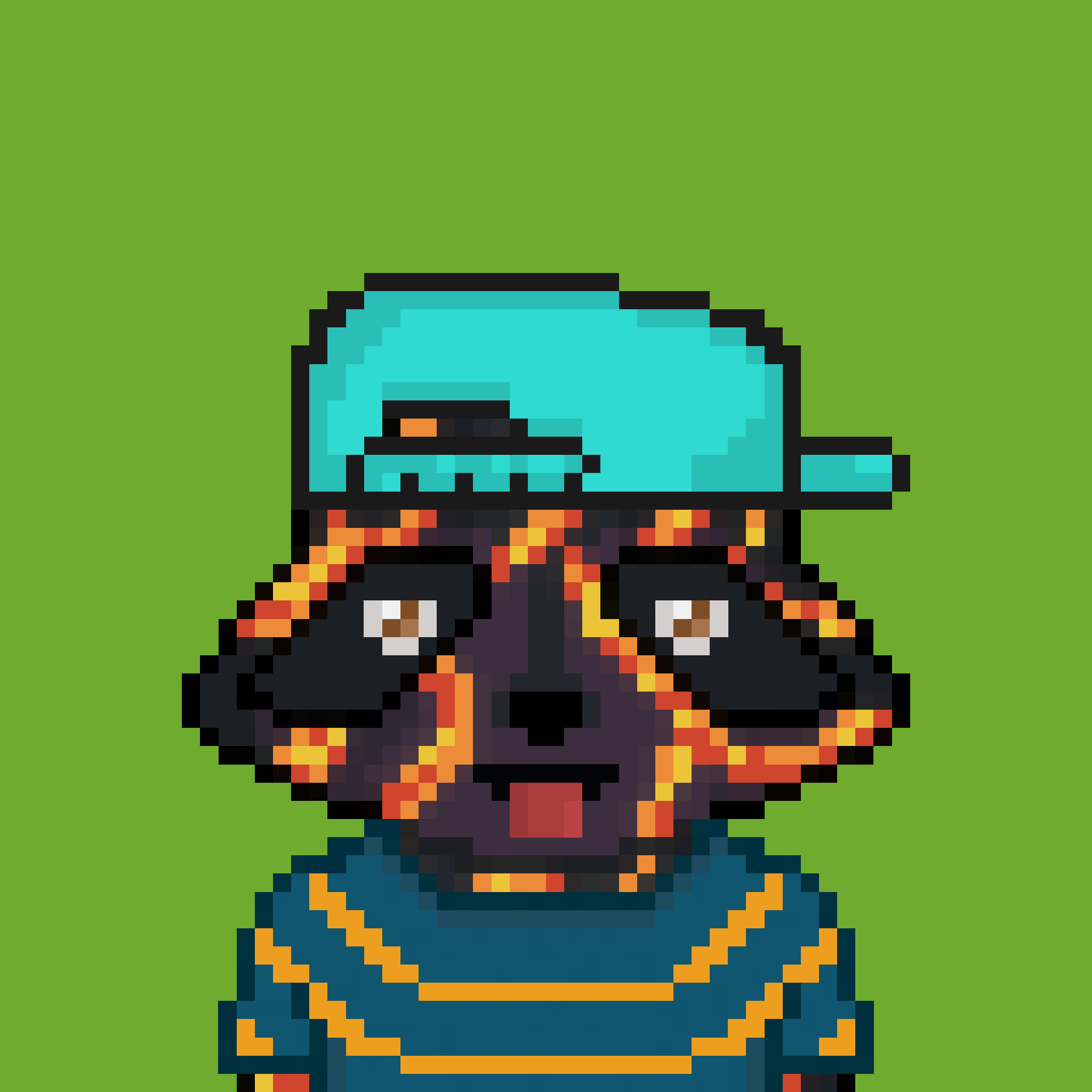 Pixel Raccoon #1807 NFT on Algorand