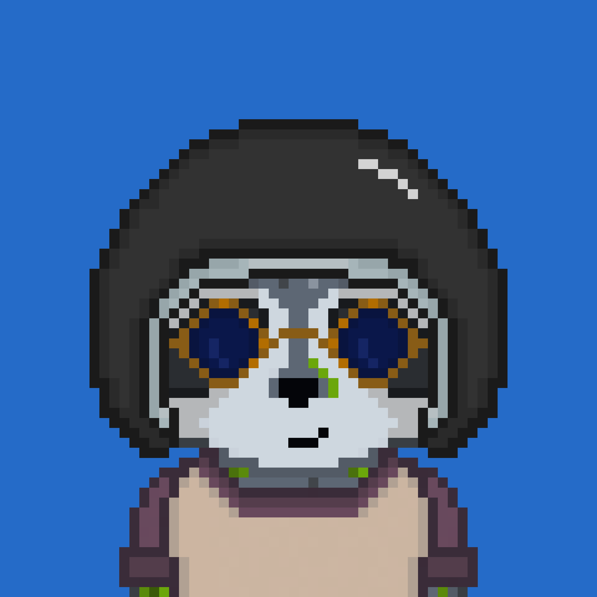 Pixel Raccoon #1809 NFT on Algorand