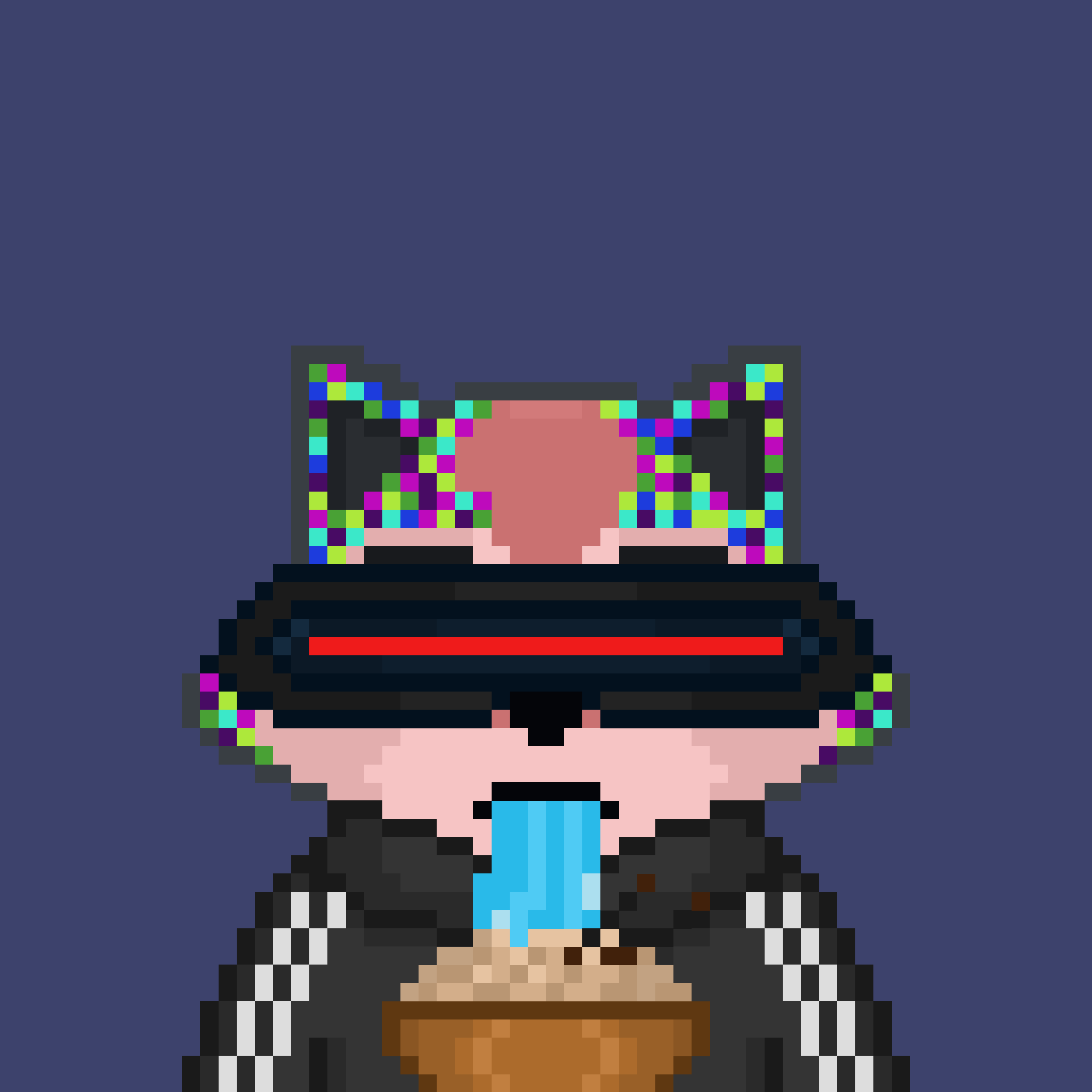 Pixel Raccoon #182 NFT on Algorand