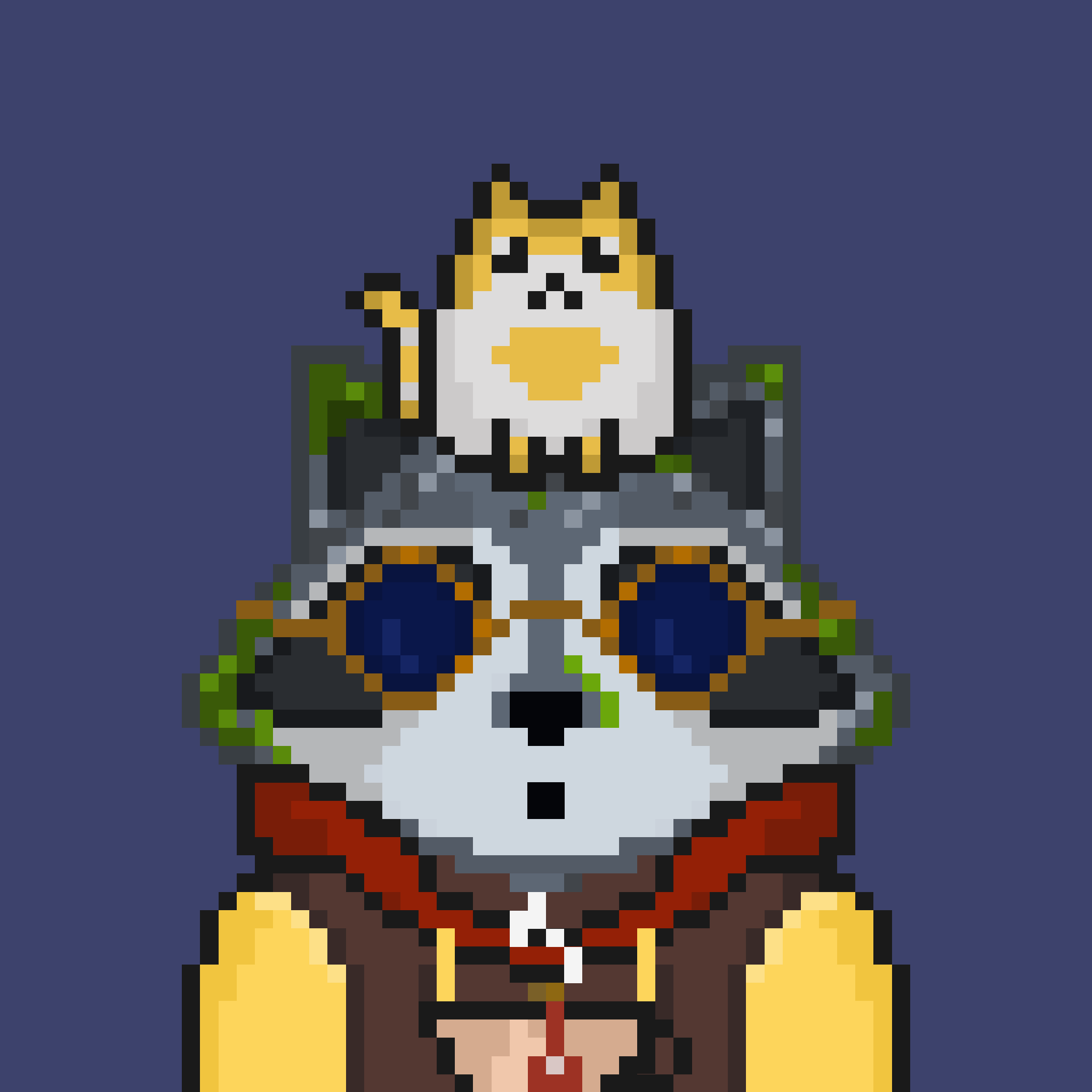 Pixel Raccoon #185 NFT on Algorand