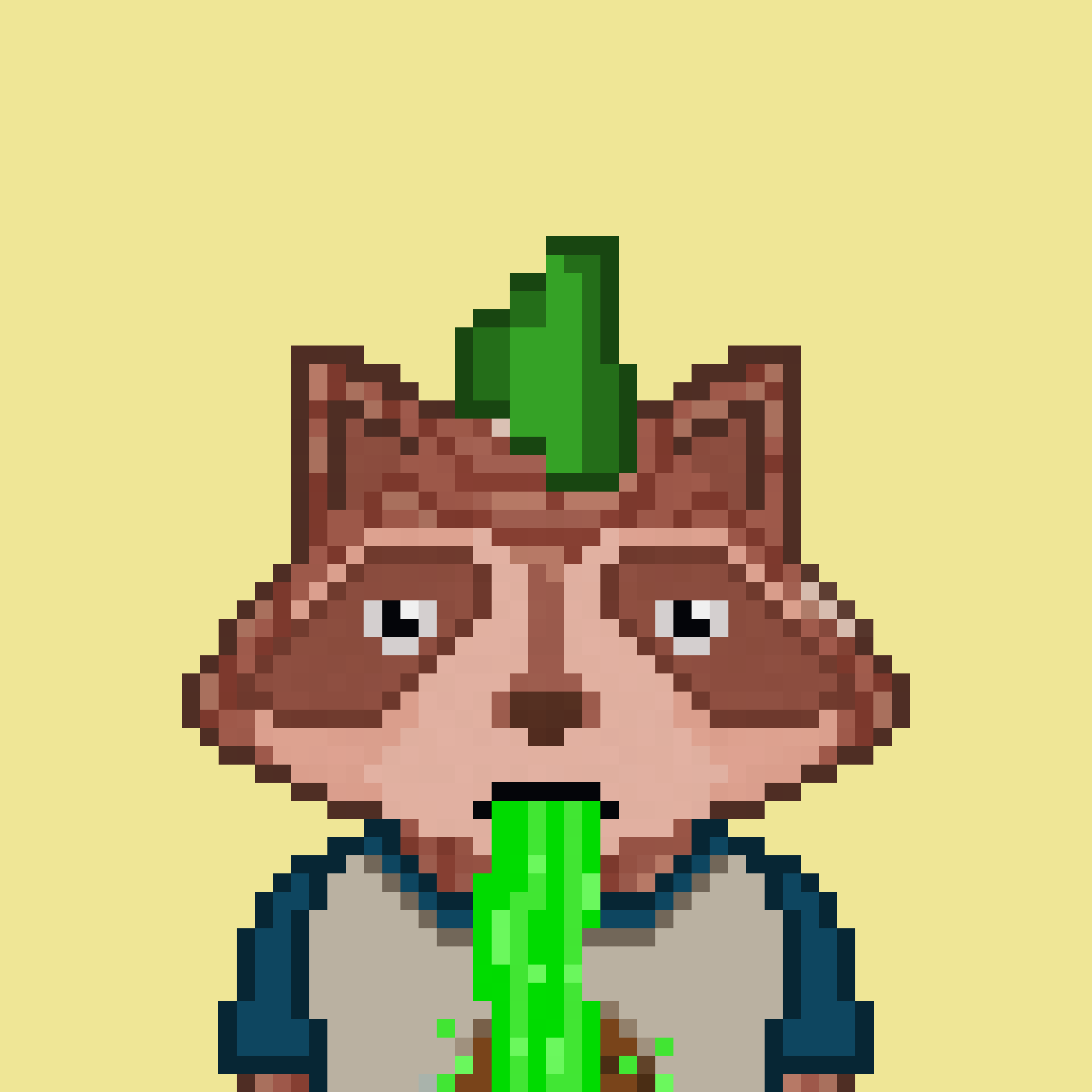 Pixel Raccoon #187 NFT on Algorand