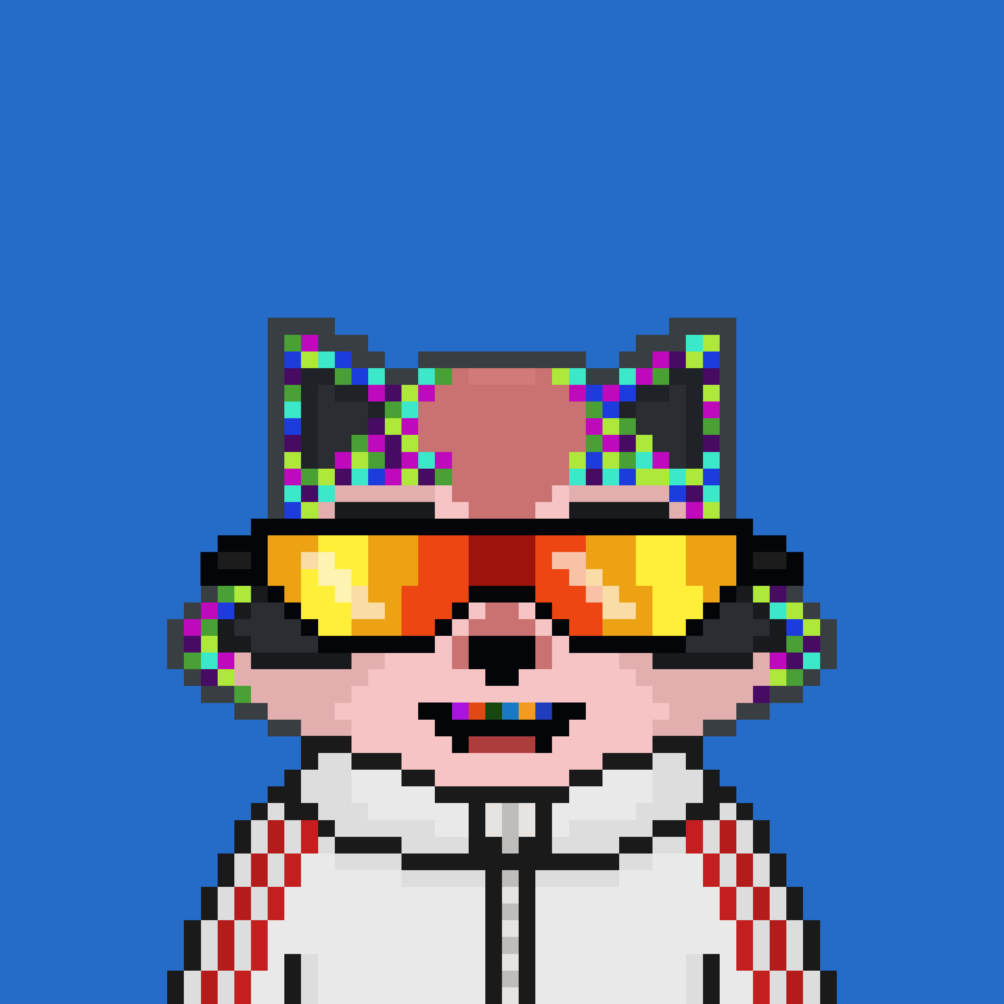 Pixel Raccoon #188 NFT on Algorand