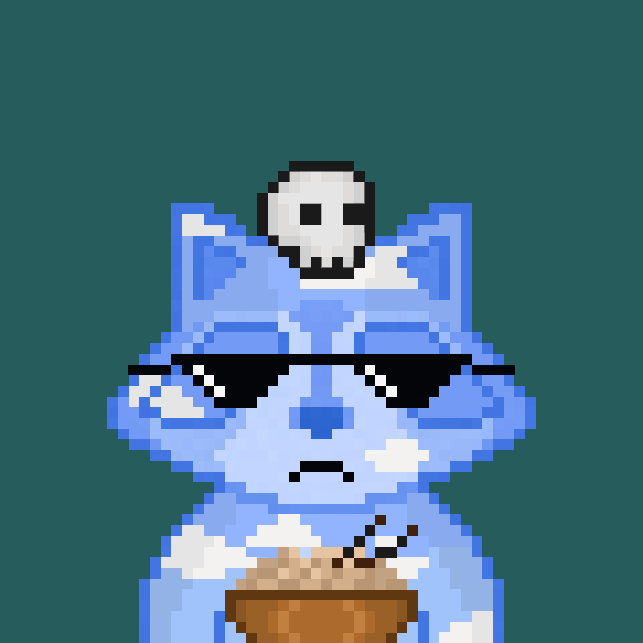 Pixel Raccoon #1882 NFT on Algorand