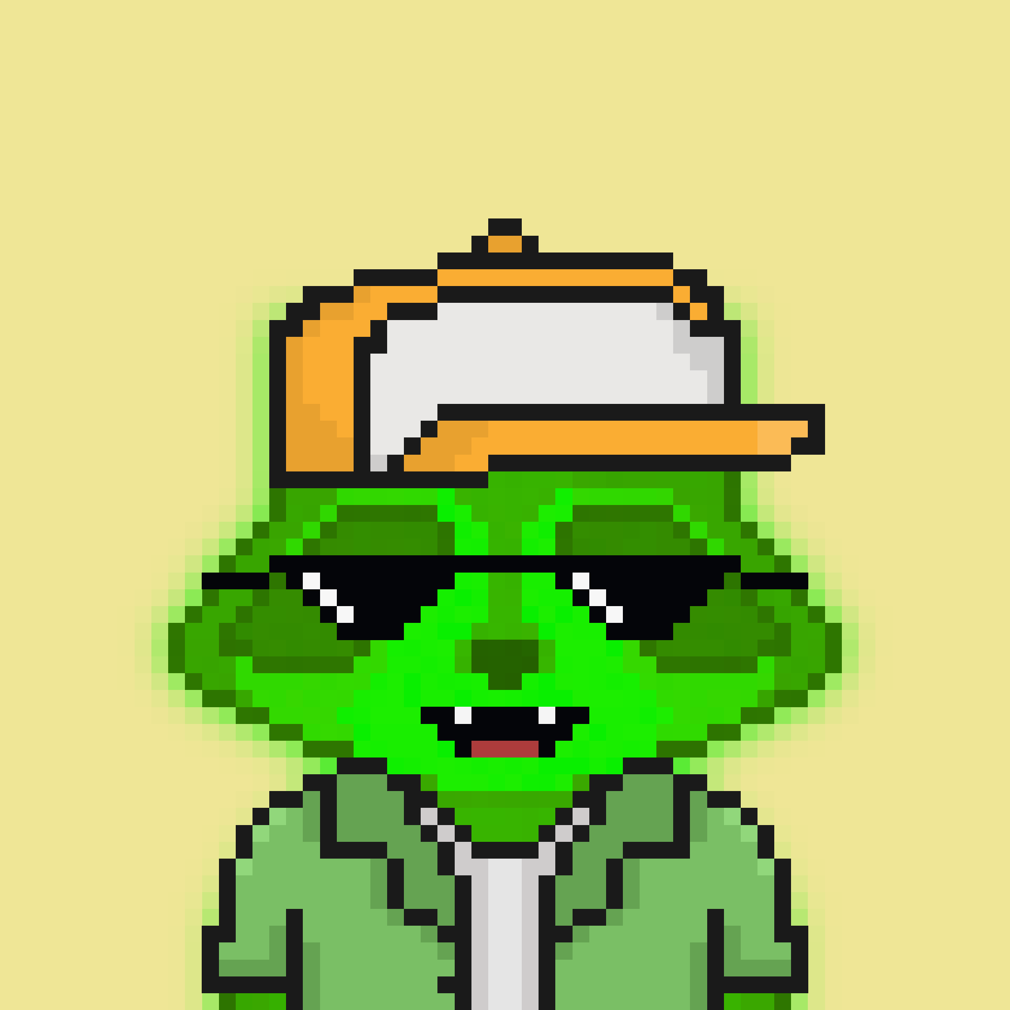 Pixel Raccoon #189 NFT on Algorand