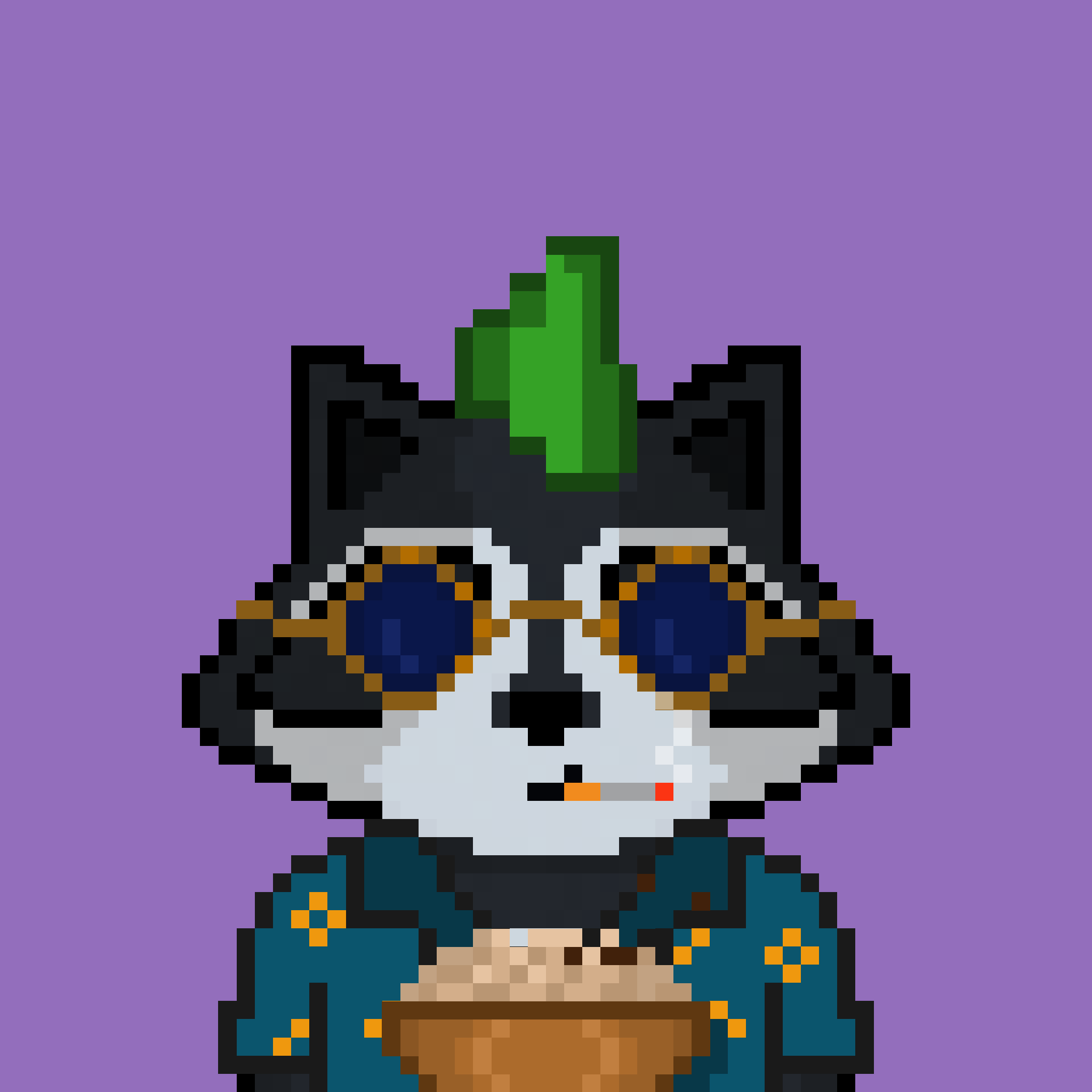 Pixel Raccoon #195 NFT on Algorand