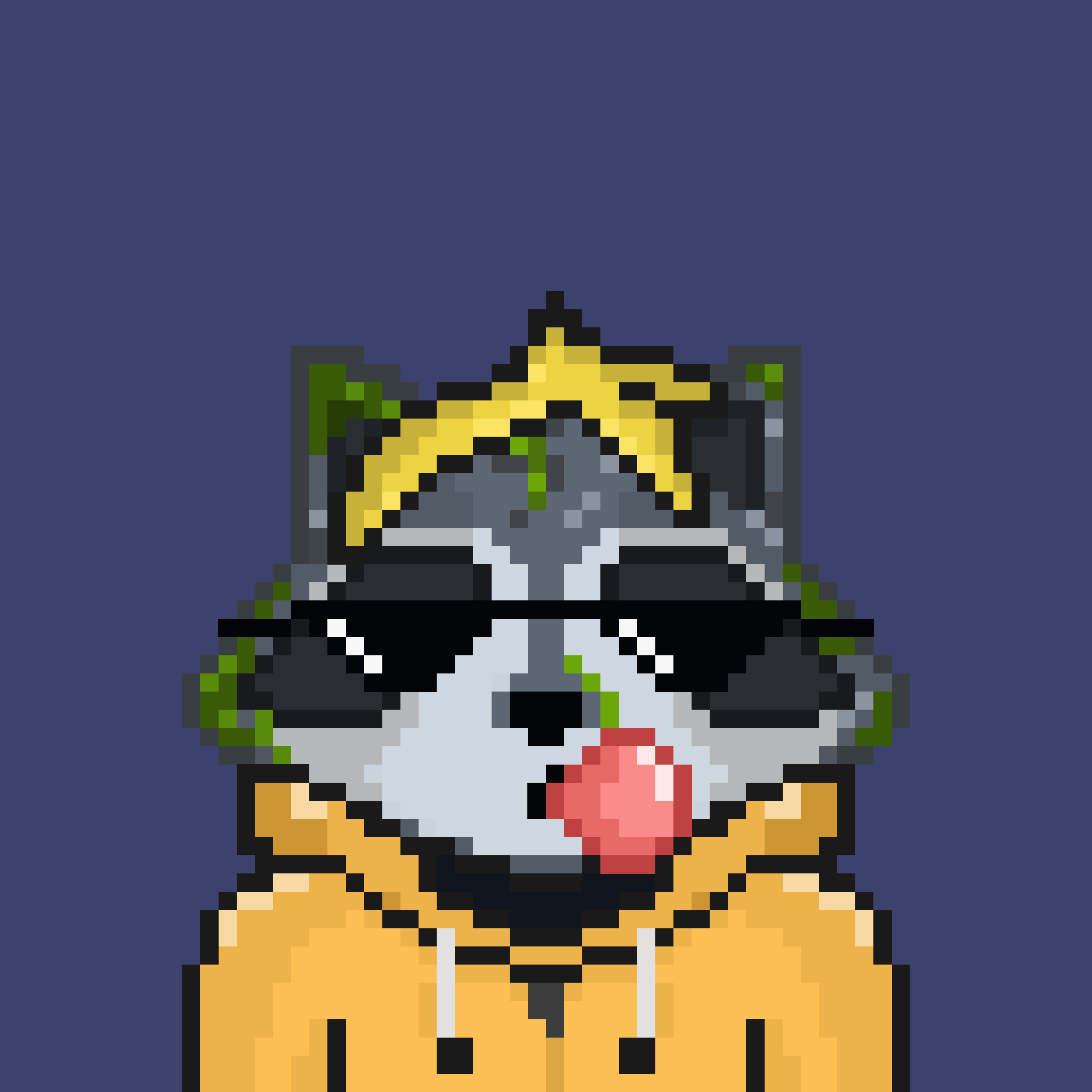Pixel Raccoon #1953 NFT on Algorand