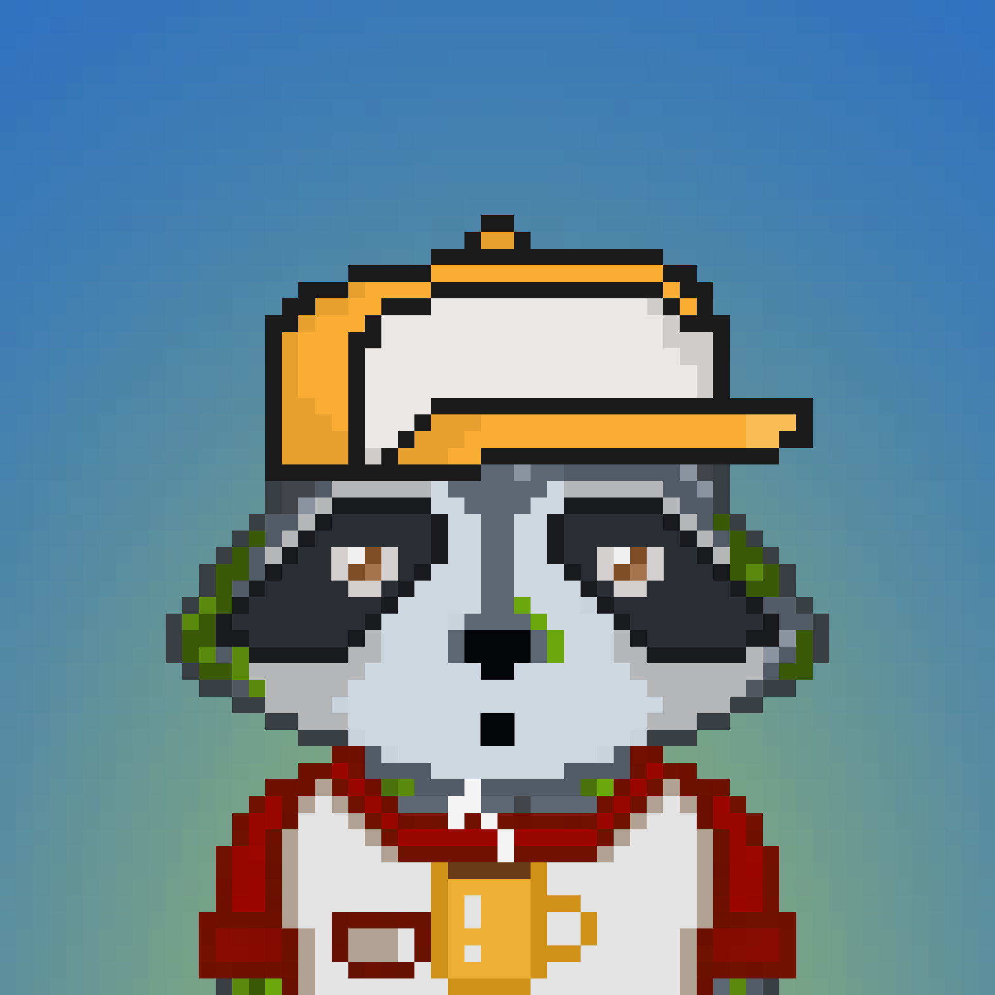 Pixel Raccoon #20 NFT on Algorand
