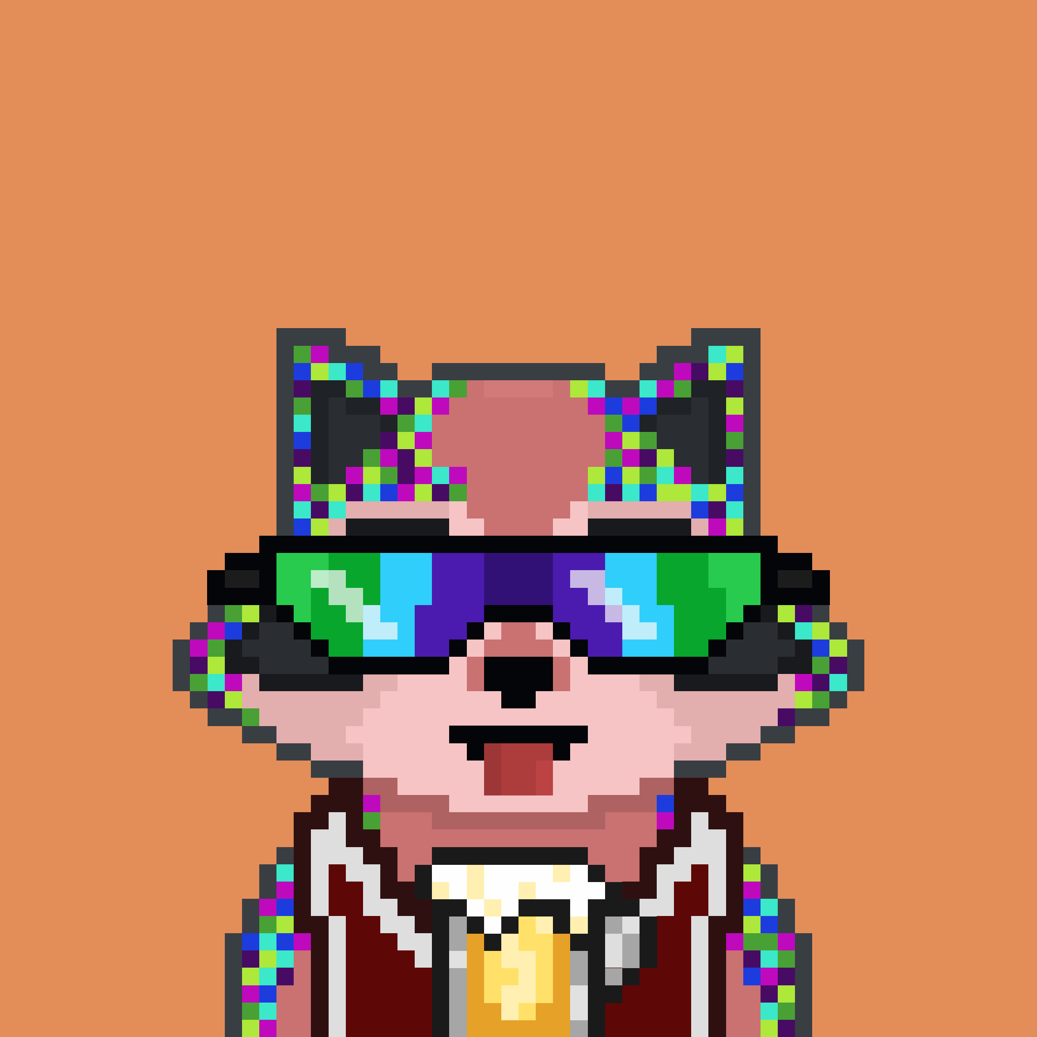 Pixel Raccoon #2011 NFT on Algorand