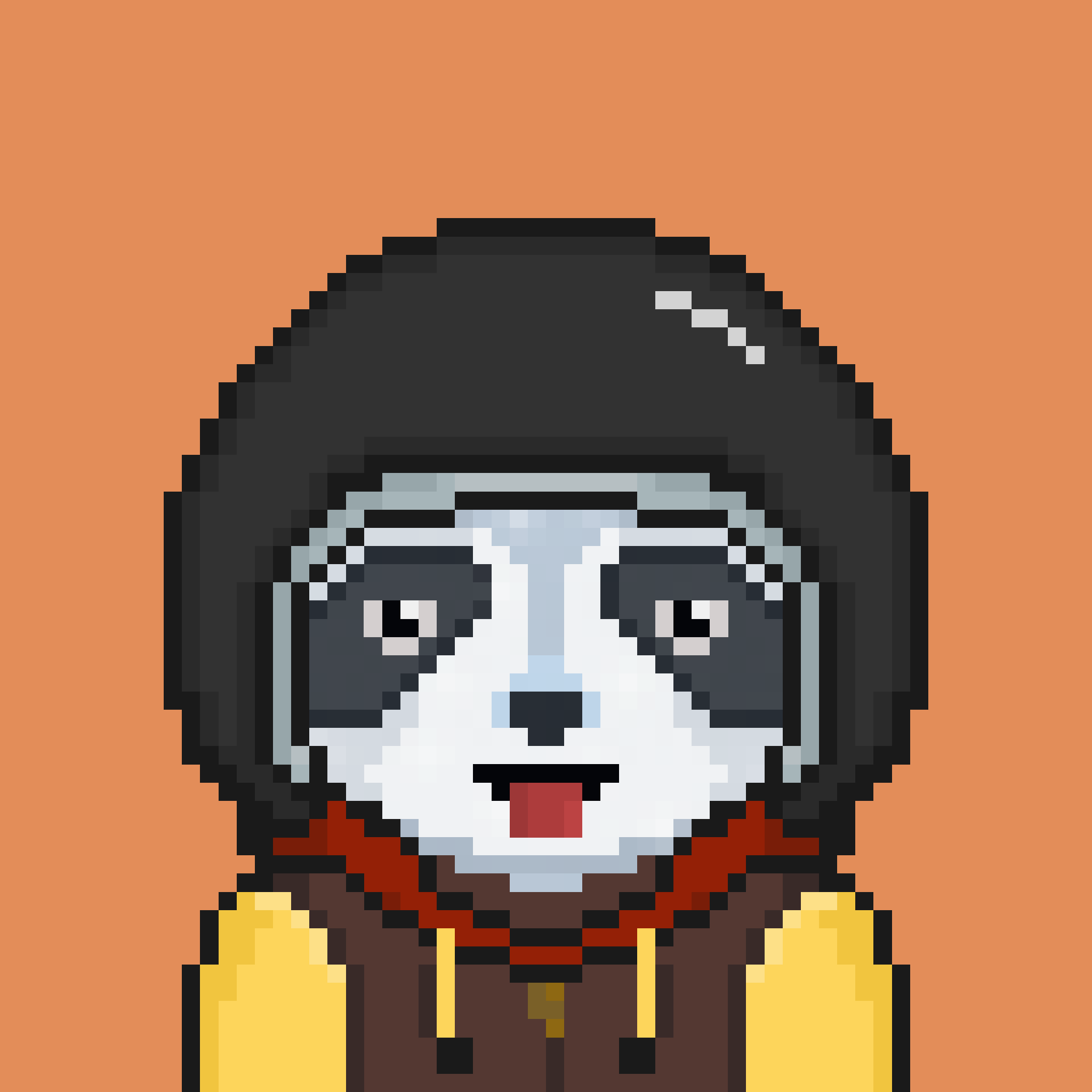 Pixel Raccoon #2027 NFT on Algorand