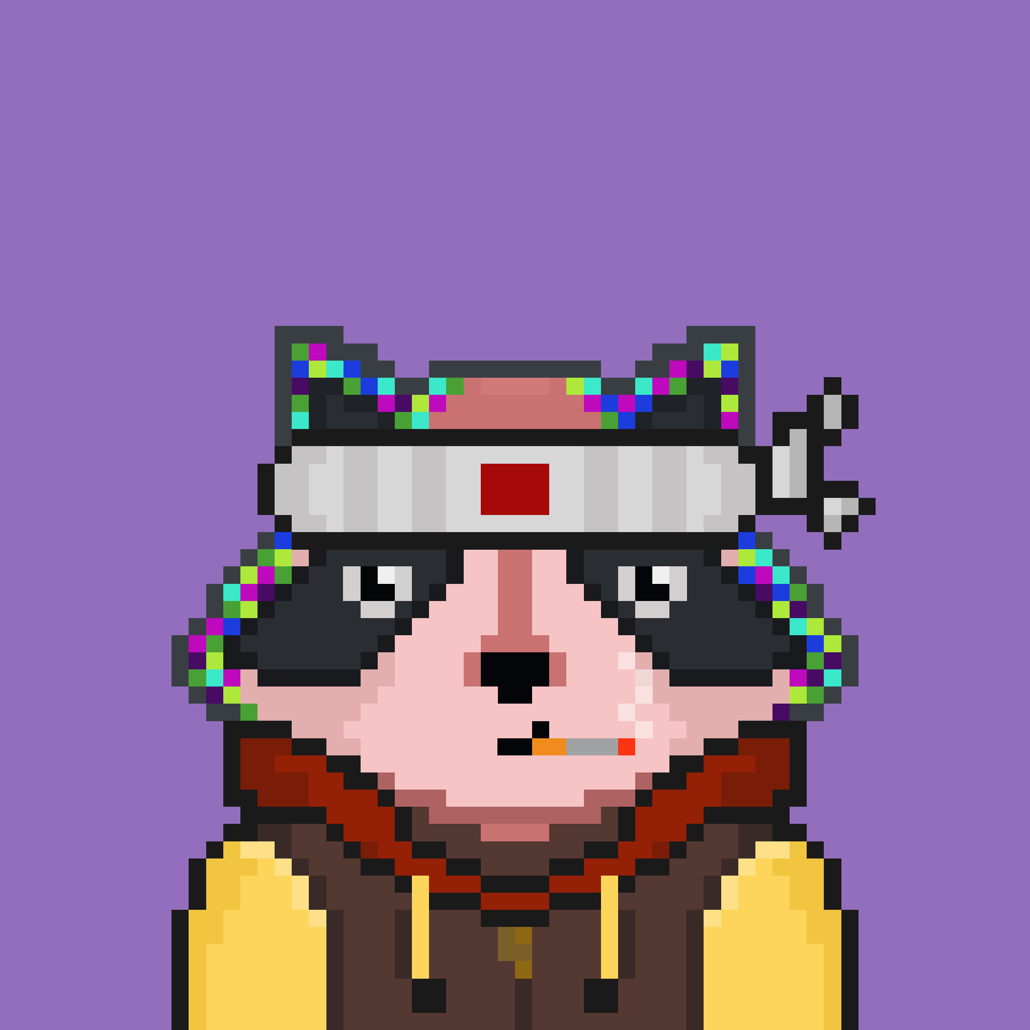 Pixel Raccoon #2041 NFT on Algorand