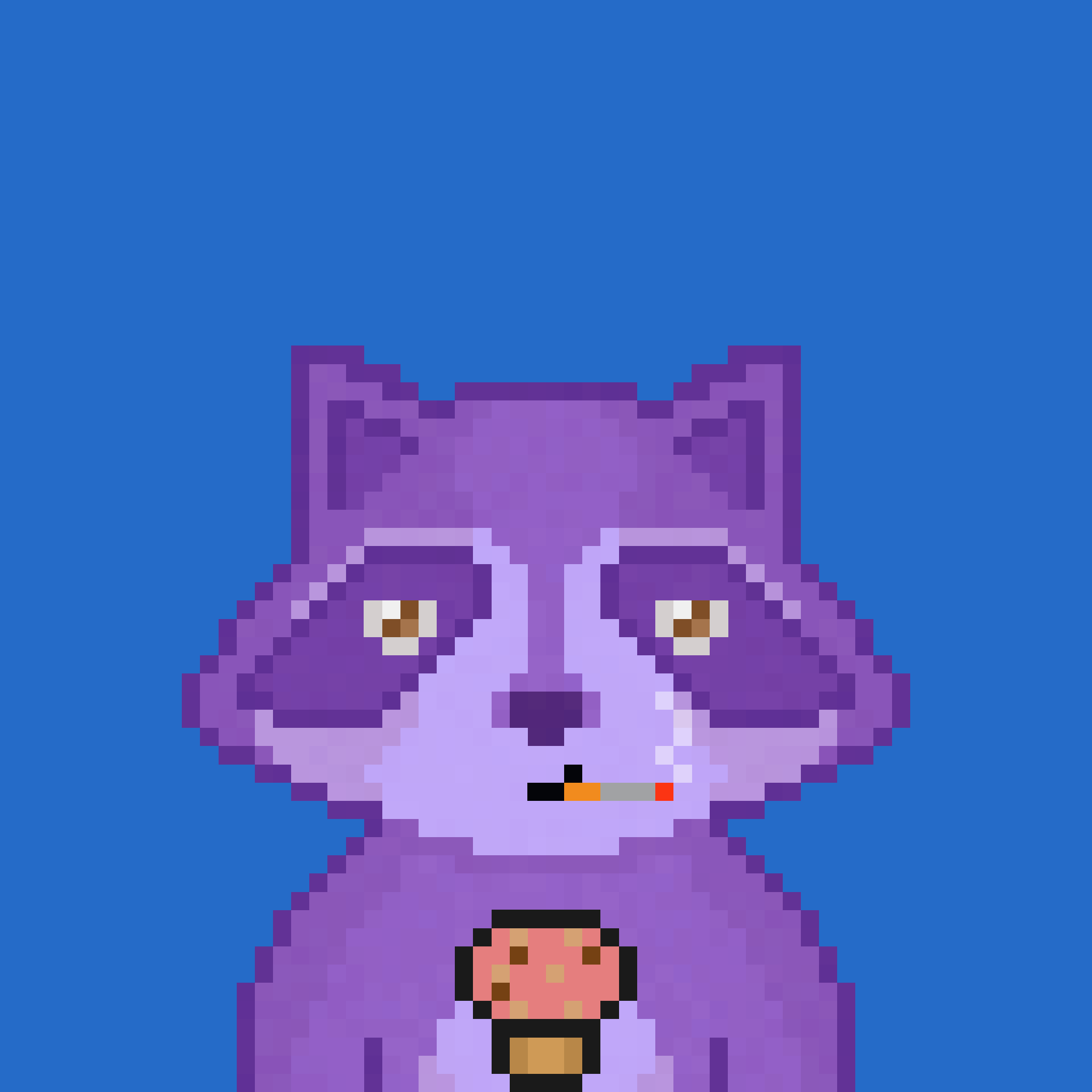 Pixel Raccoon #2047 NFT on Algorand