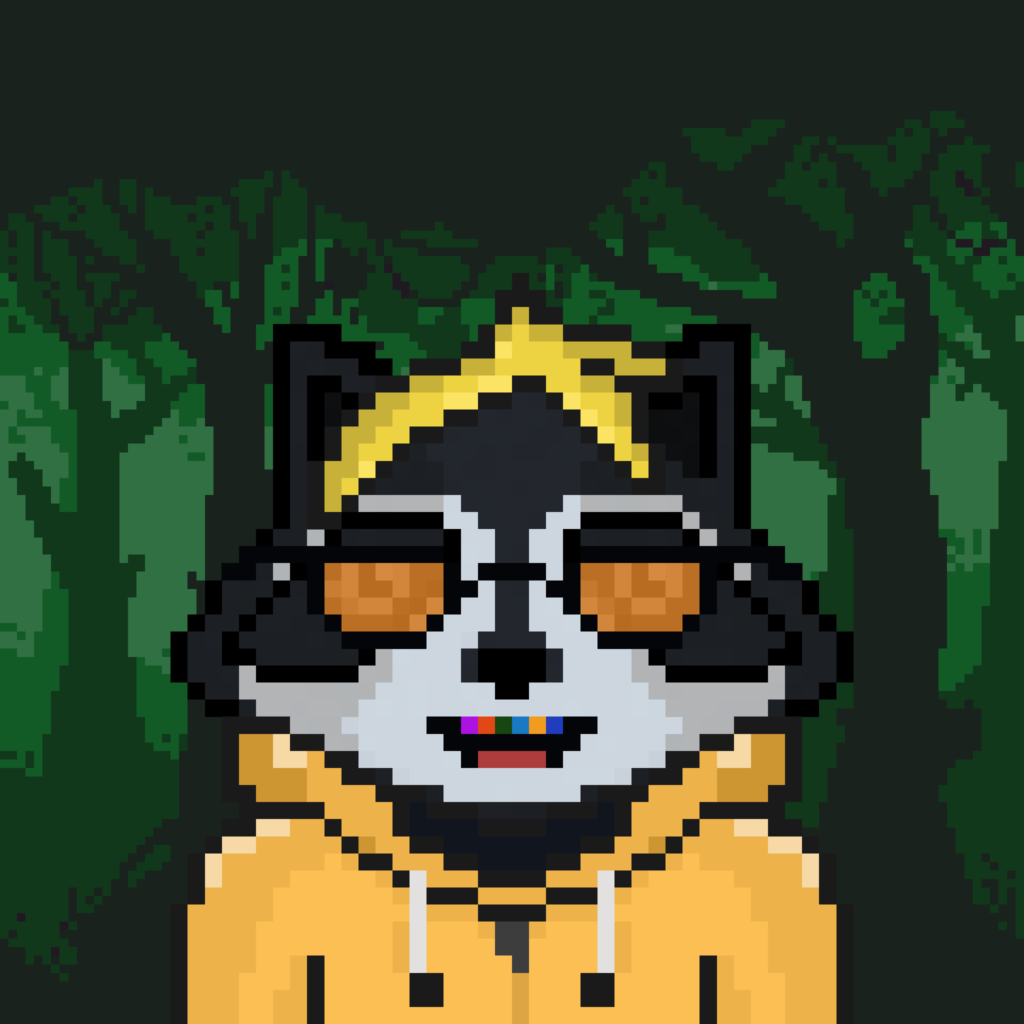 Pixel Raccoon #205 NFT on Algorand