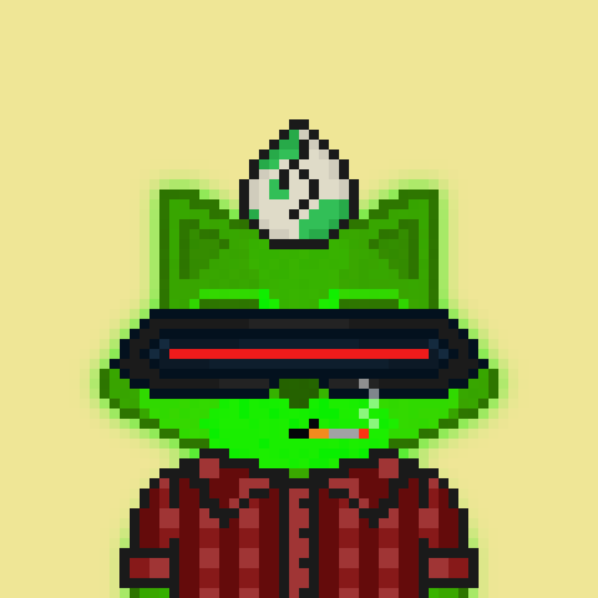 Pixel Raccoon #2052 NFT on Algorand