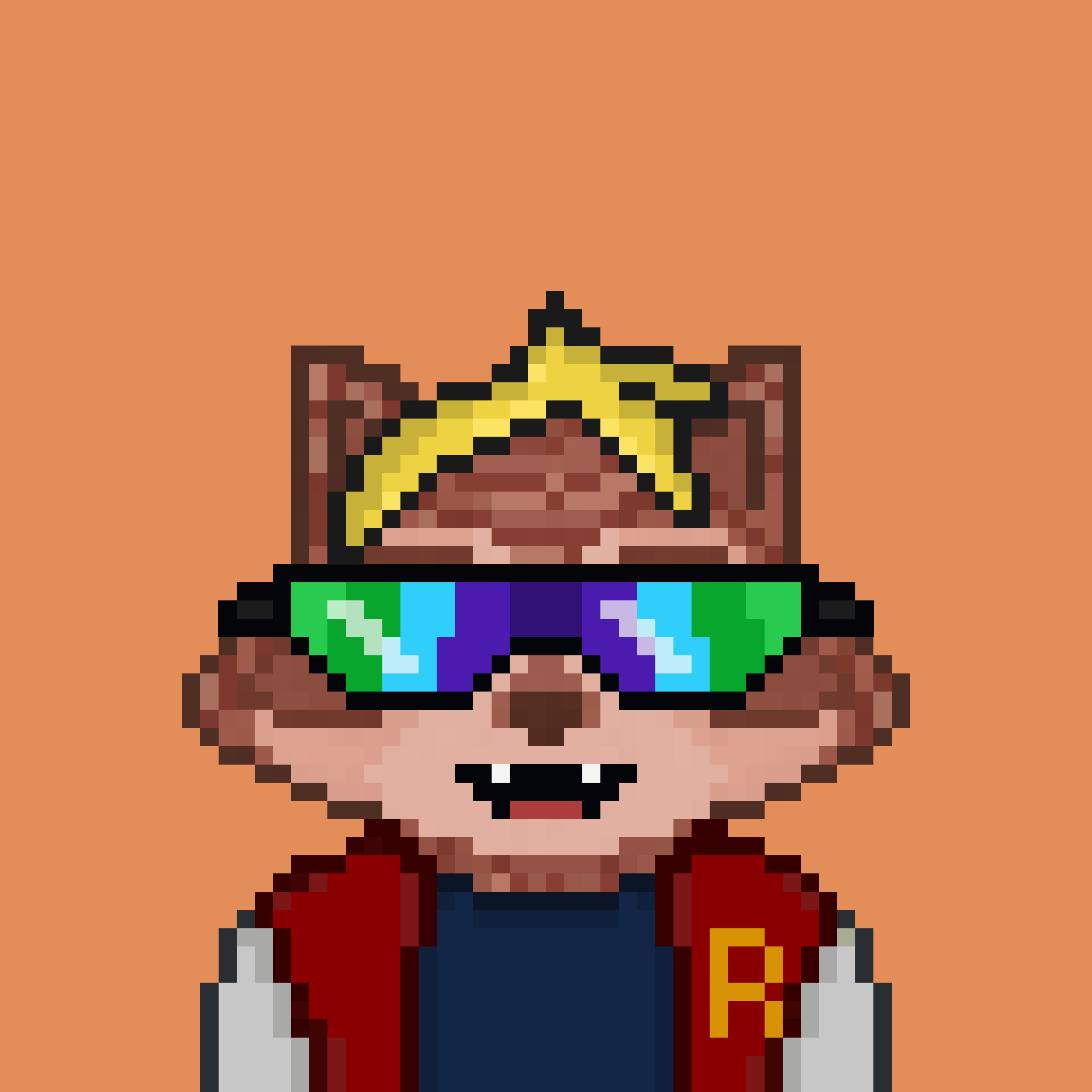 Pixel Raccoon #206 NFT on Algorand