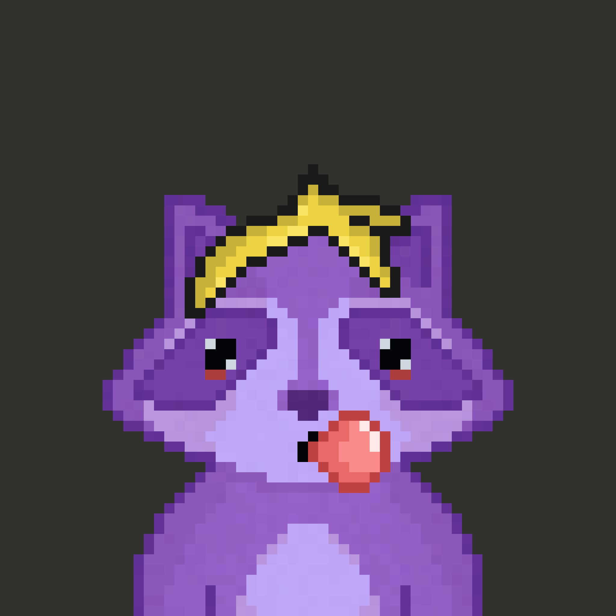 Pixel Raccoon #2065 NFT on Algorand
