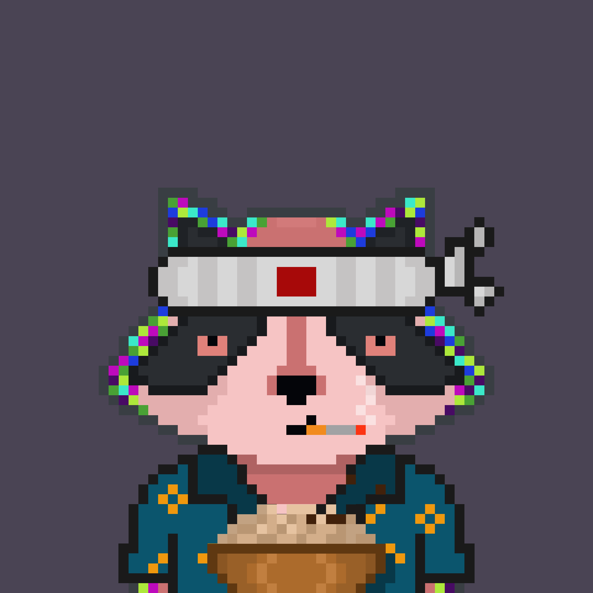 Pixel Raccoon #207 NFT on Algorand