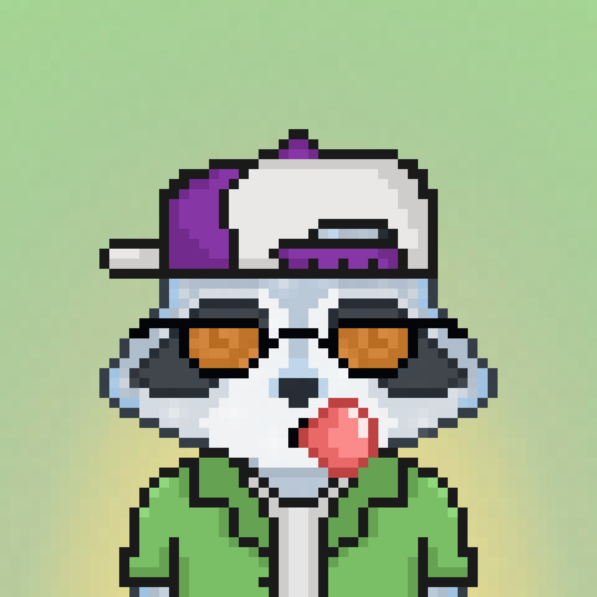 Pixel Raccoon #2080 NFT on Algorand