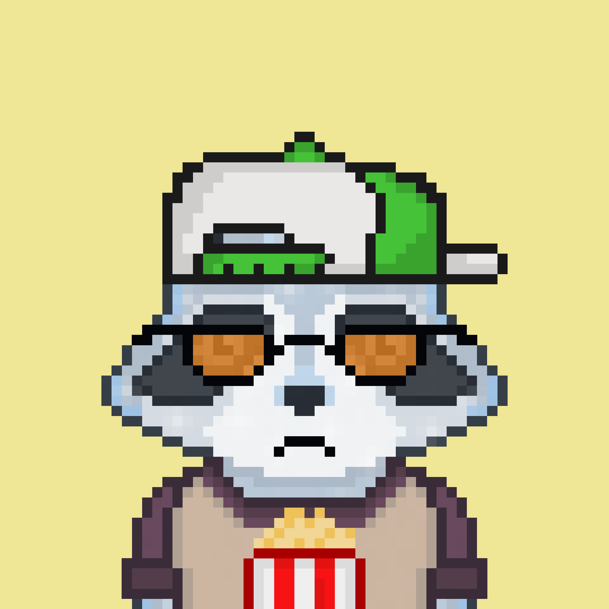 Pixel Raccoon #2084 NFT on Algorand