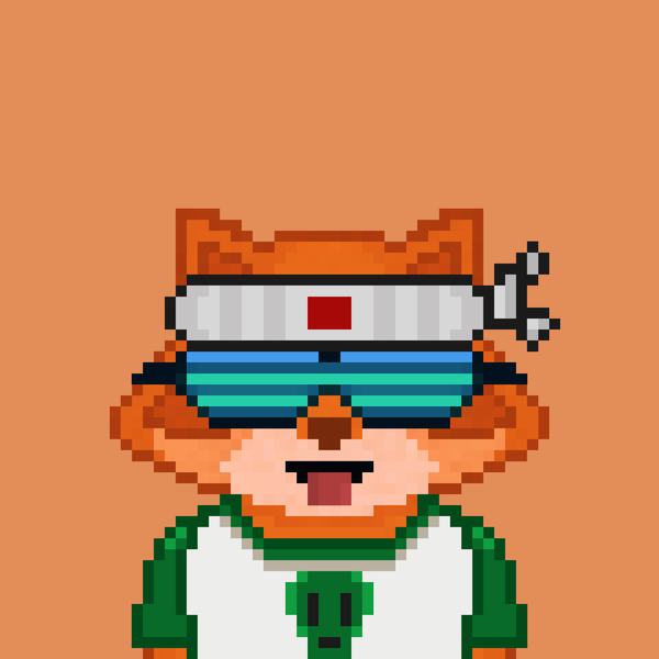 Image of Pixel Raccoon #2101